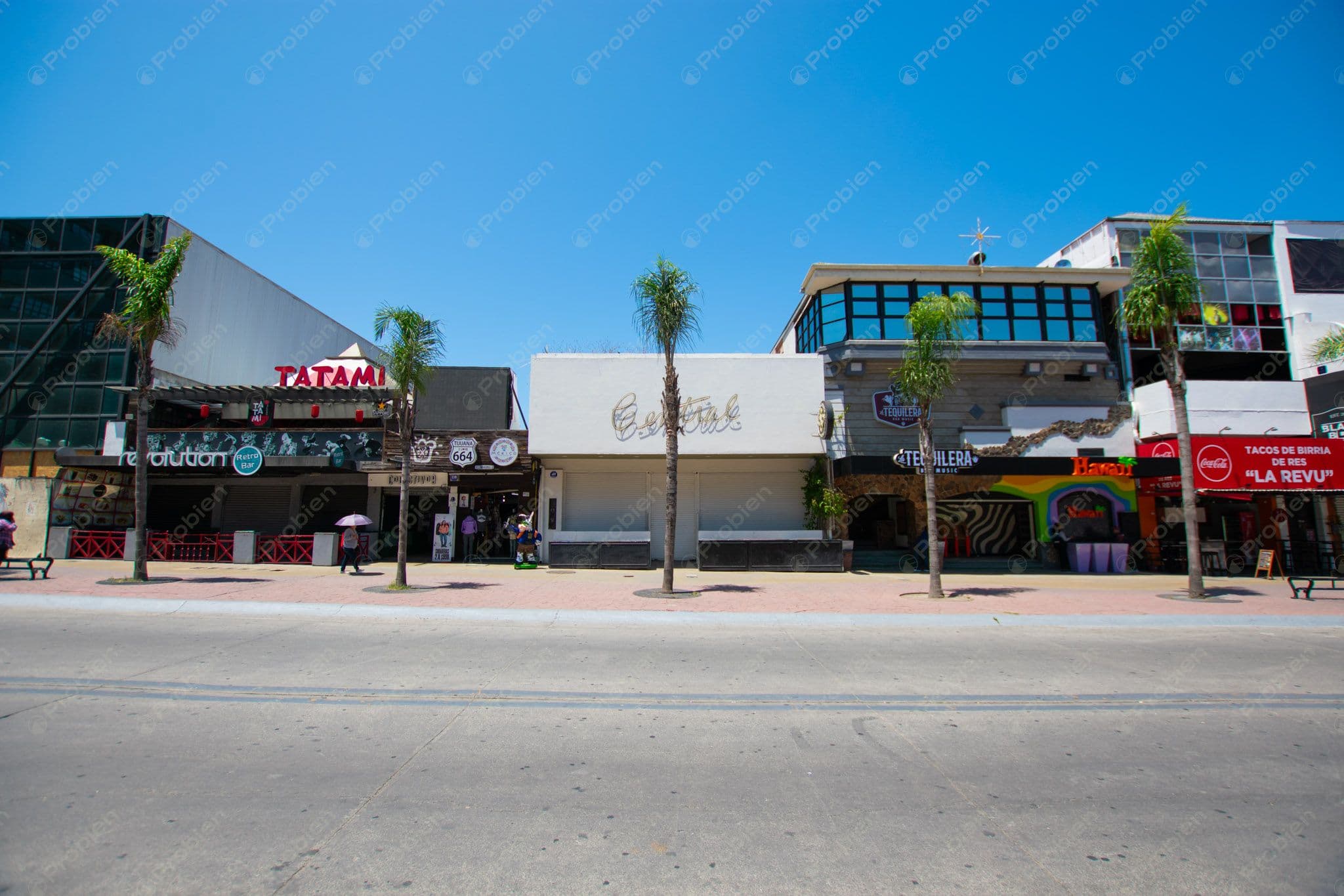 Local Comercial en Renta en Avenida Revolución – ¡Ubicación Estratégica!