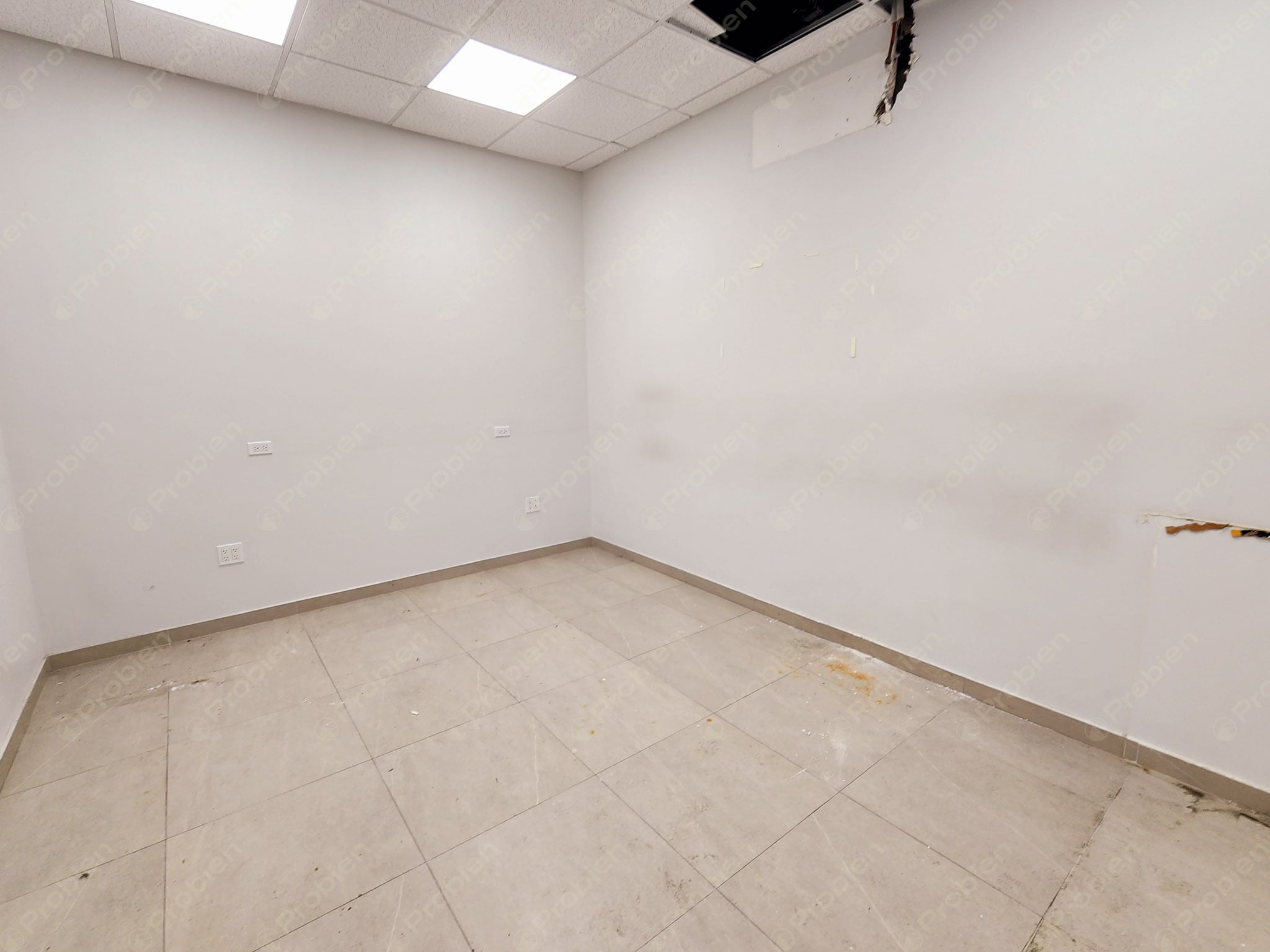 Local Comercial en Renta – Excelente Ubicación en Plaza Domino - Foto 11 de 14