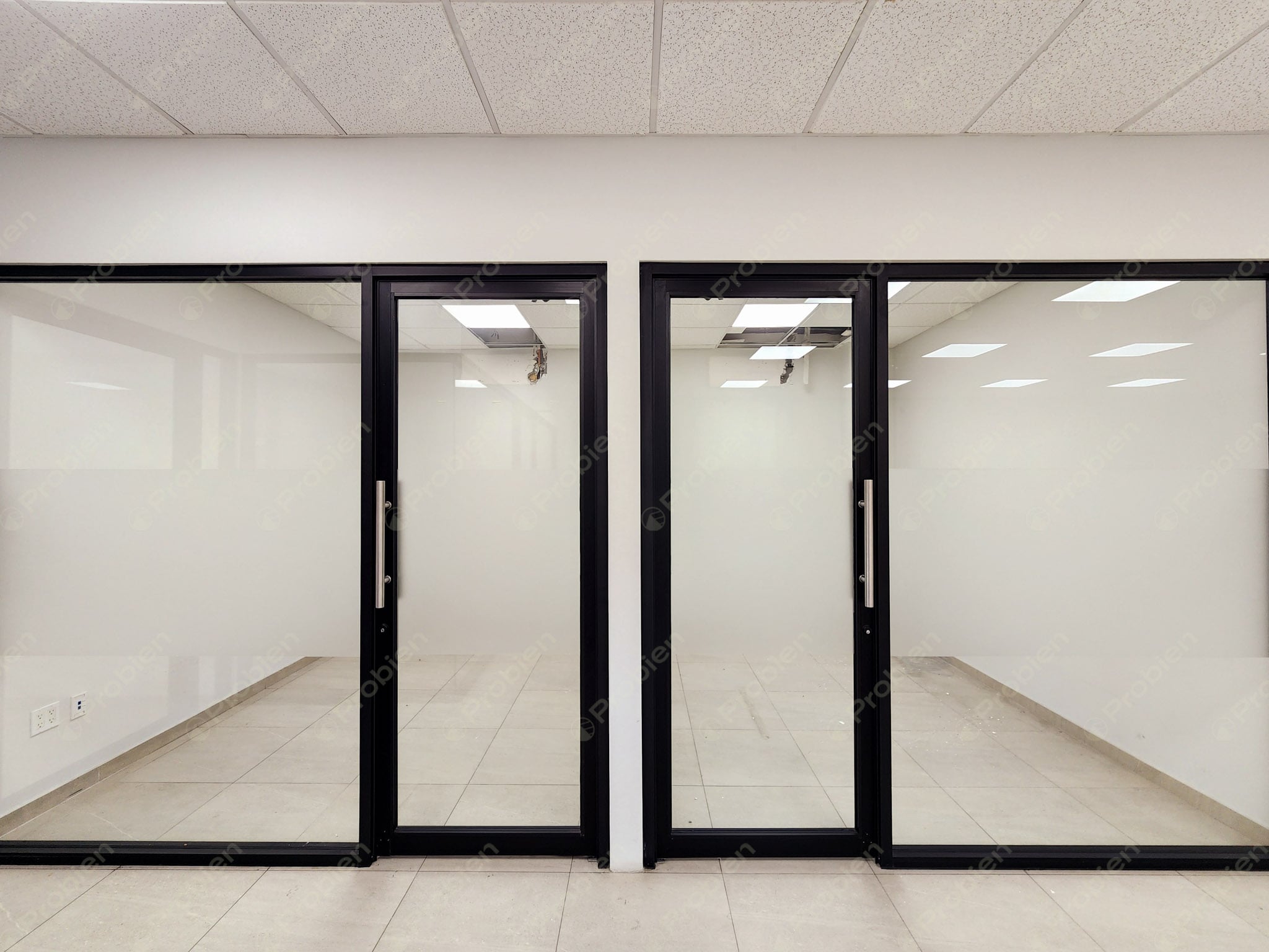 Local Comercial en Renta – Excelente Ubicación en Plaza Domino - Foto 5 de 14