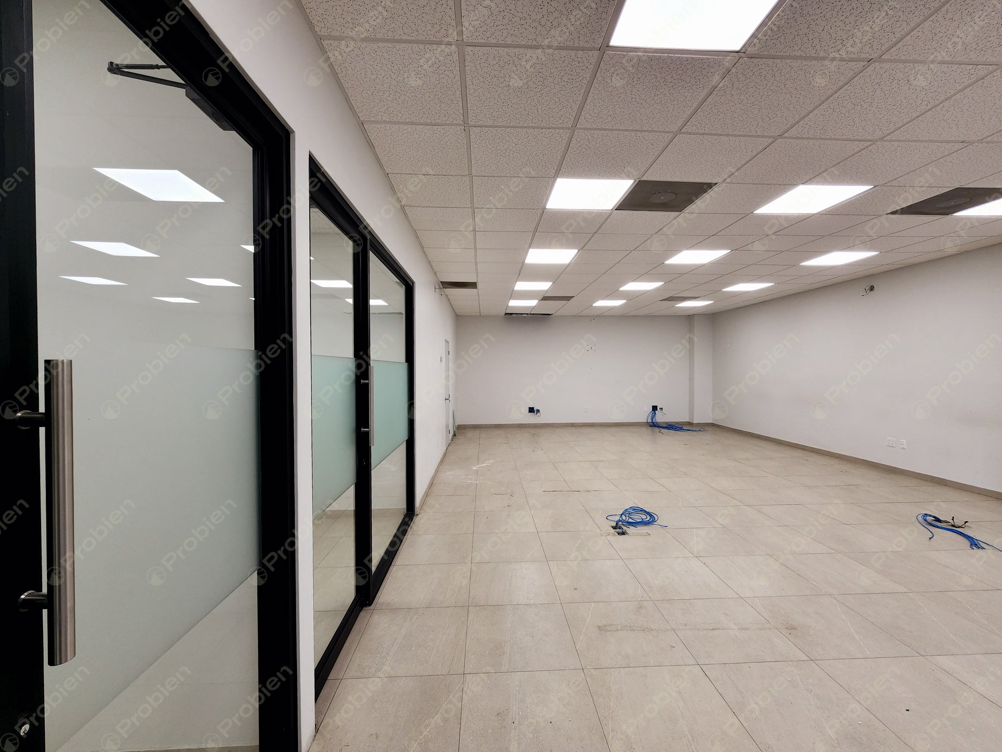 Local Comercial en Renta – Excelente Ubicación en Plaza Domino - Foto 6 de 14