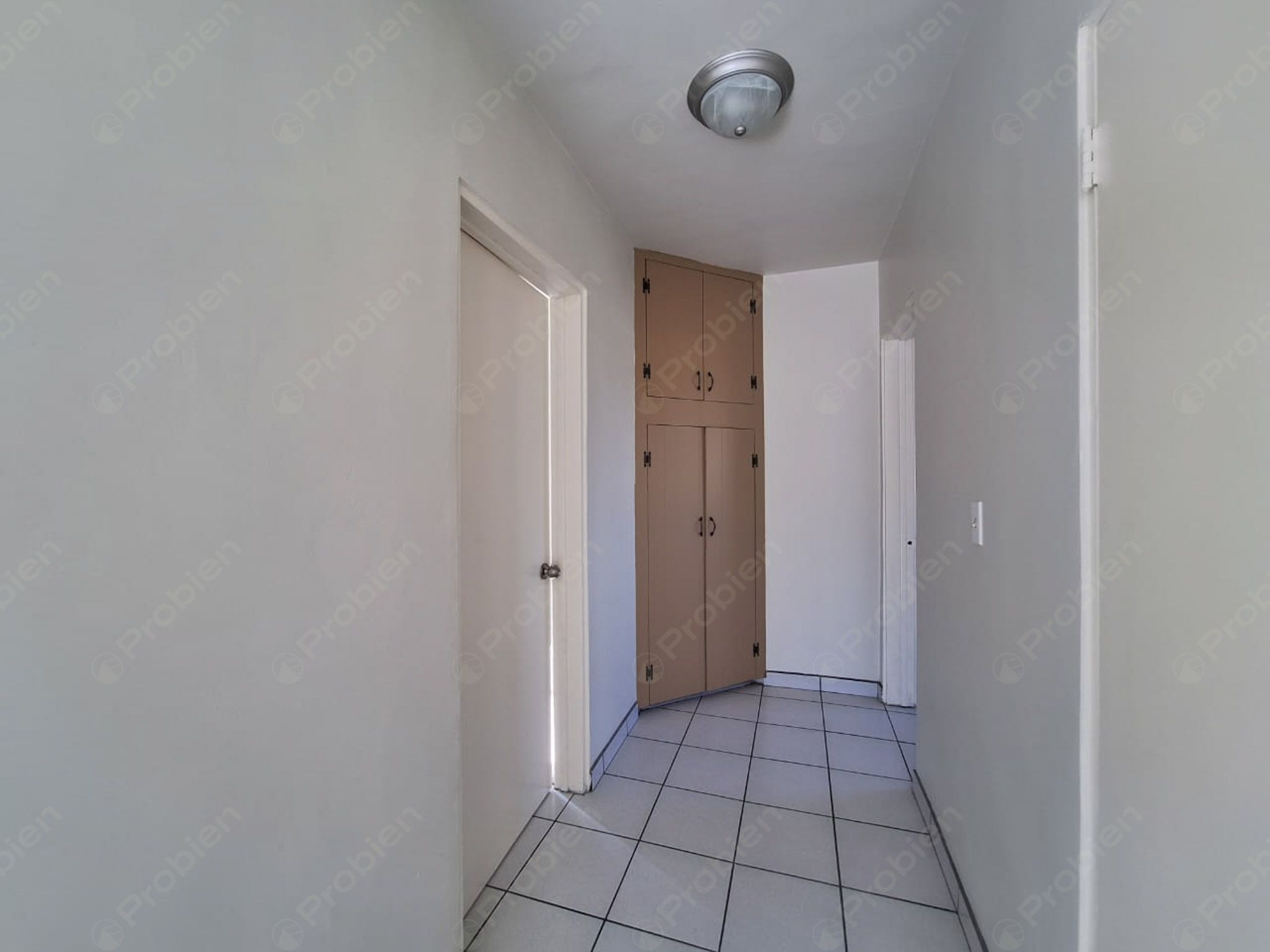 Departamento en Renta - En las Palmas - Foto 6 de 10