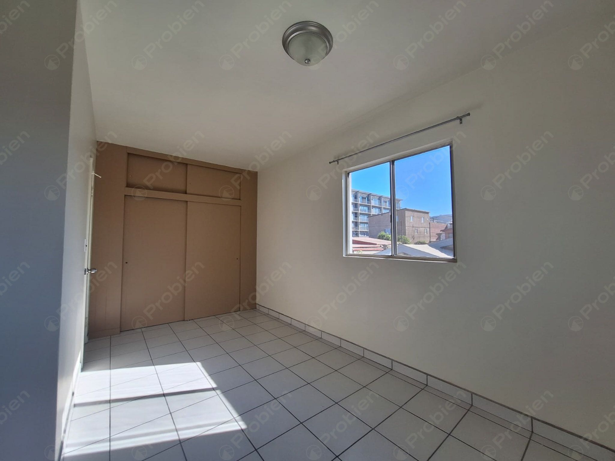 Departamento en Renta - En las Palmas - Foto 8 de 10