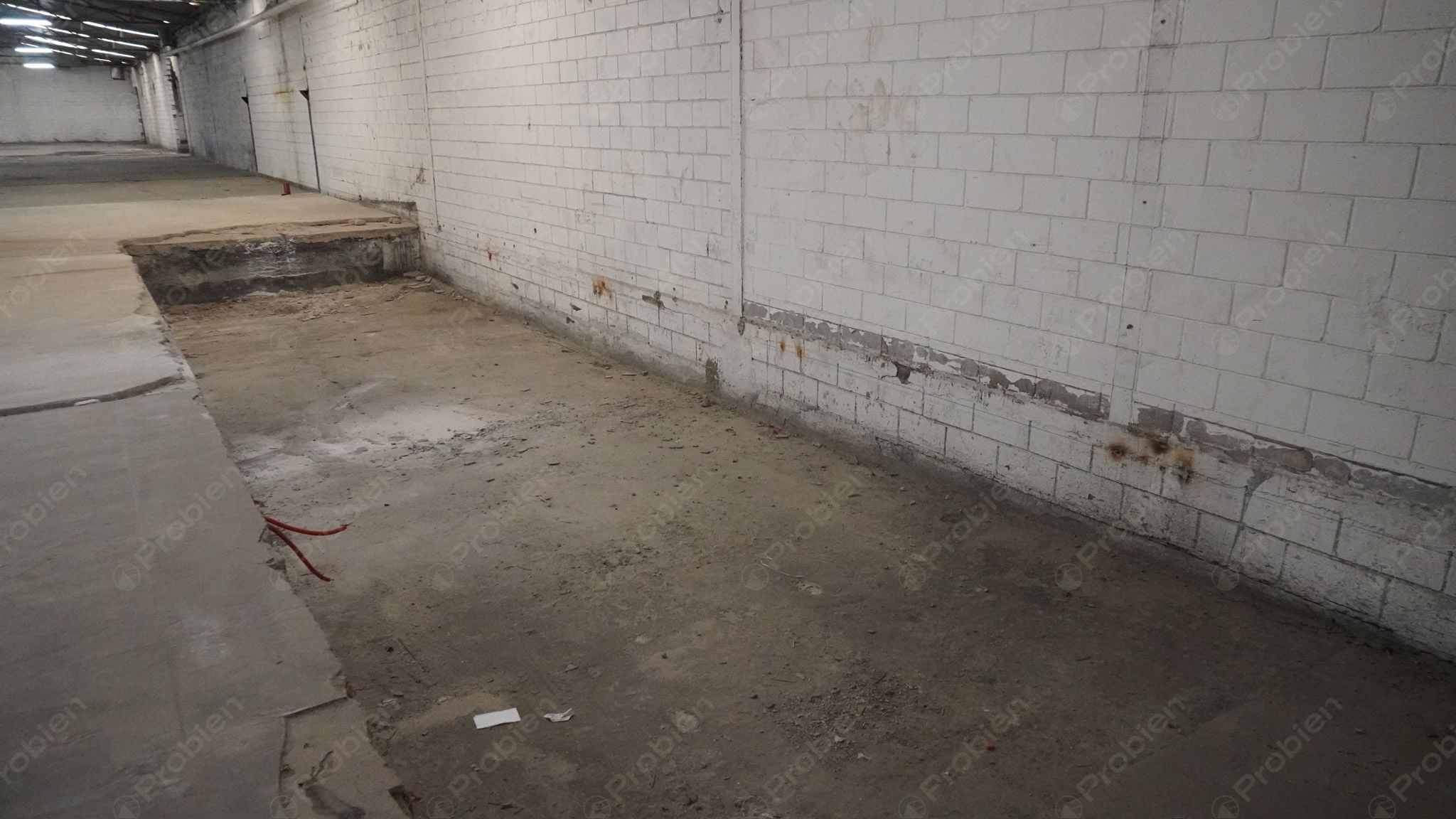 Bodega en renta - Entre Vía rápida y Blvd. Benítez Uno - Foto 3 de 7