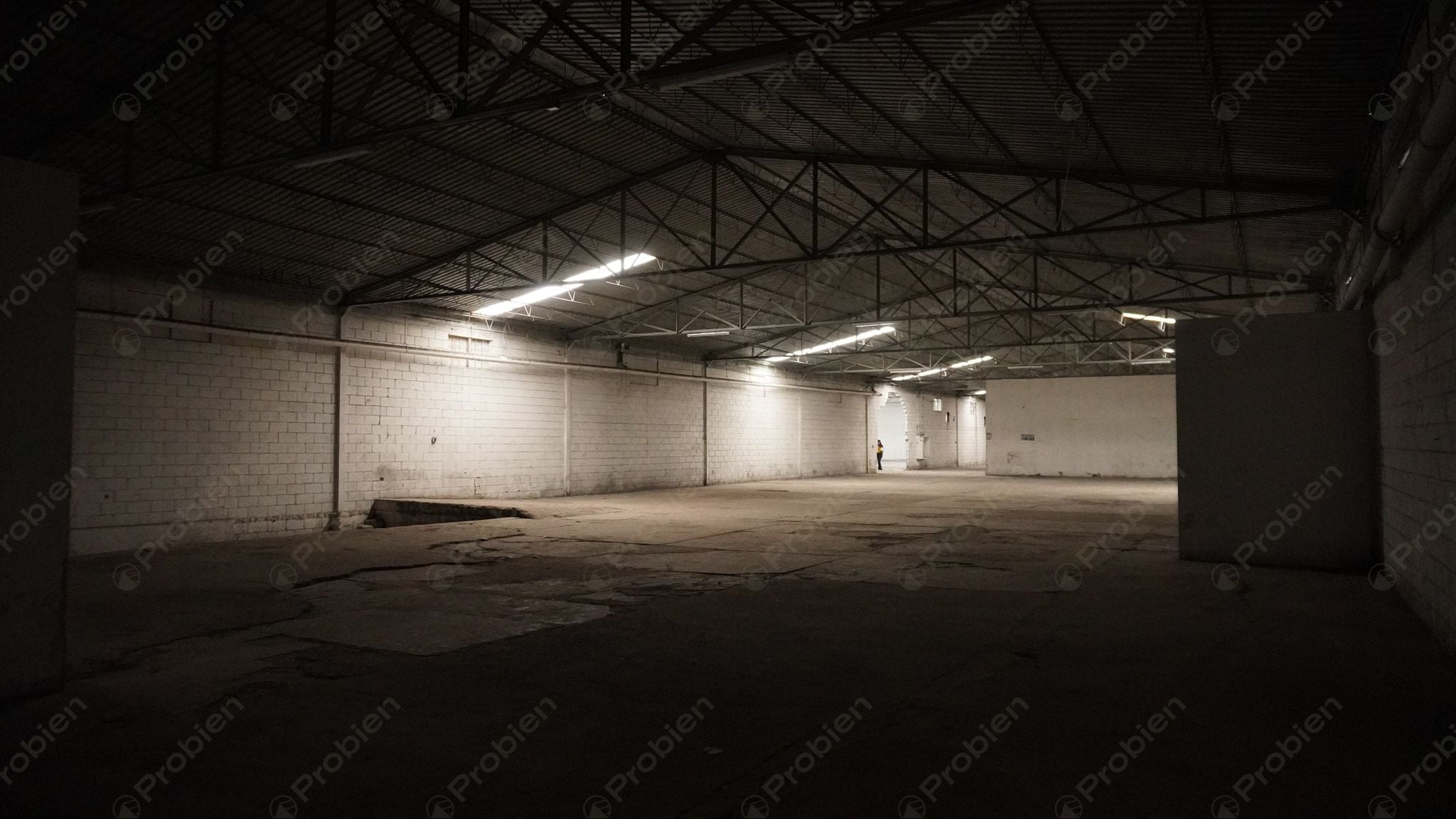 Bodega en renta - Entre Vía rápida y Blvd. Benítez Uno - Foto 6 de 7