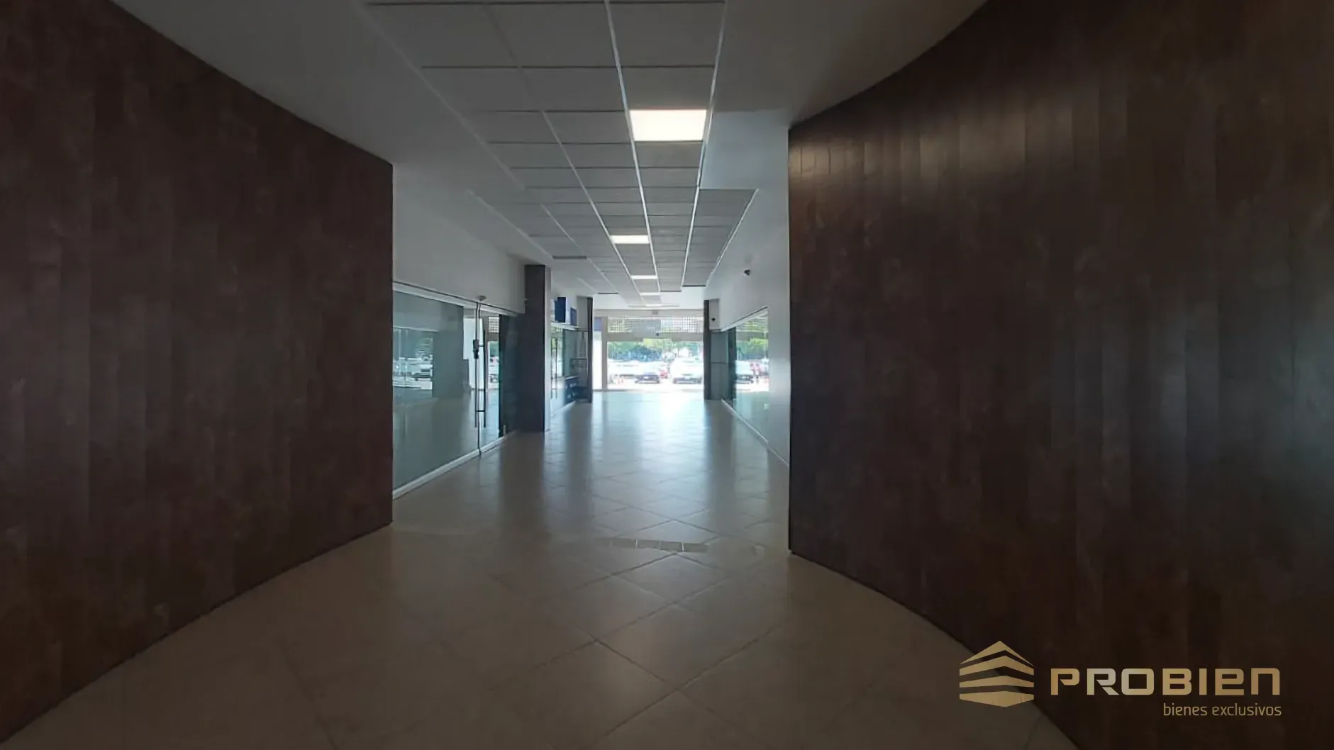 Oficina en Renta - Plaza Financiera - Foto 4 de 21