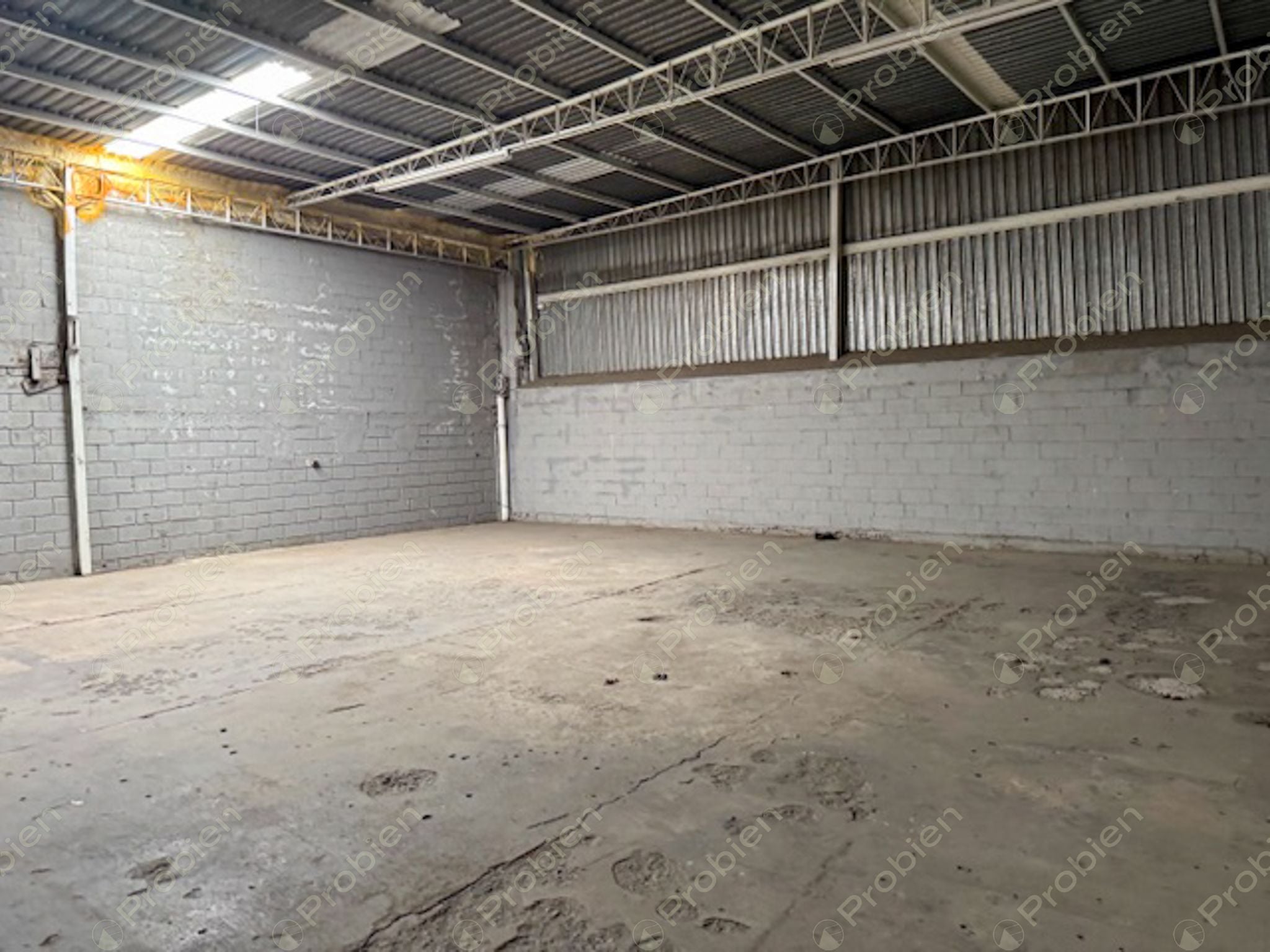 Bodega en Renta de 1,900 m² entre Vía Rápida y Blvd. Benítez - Foto 10 de 11