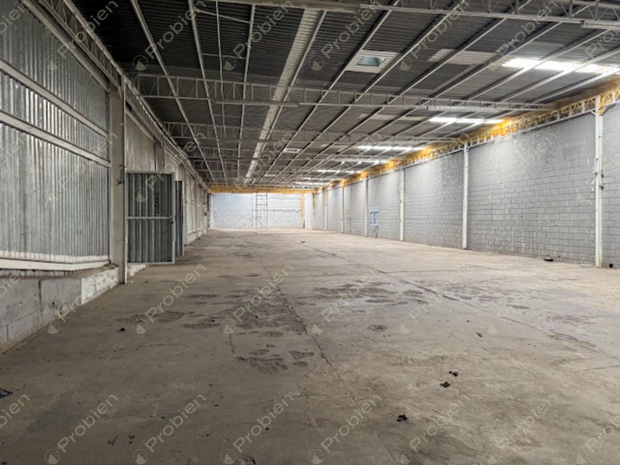 Bodega en Renta de 1,900 m² entre Vía Rápida y Blvd. Benítez - Foto 3 de 11