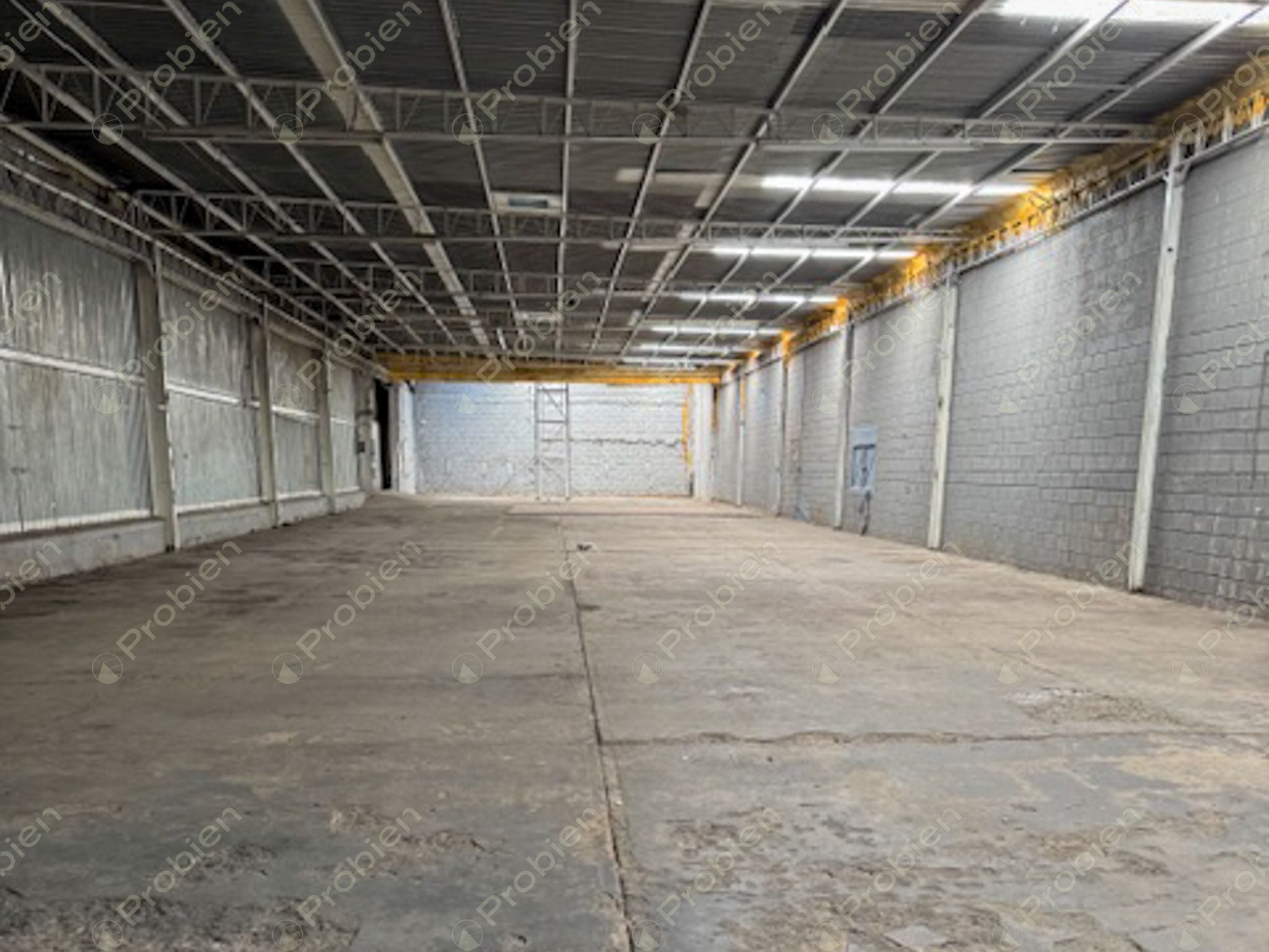 Bodega en Renta de 1,900 m² entre Vía Rápida y Blvd. Benítez - Foto 4 de 11