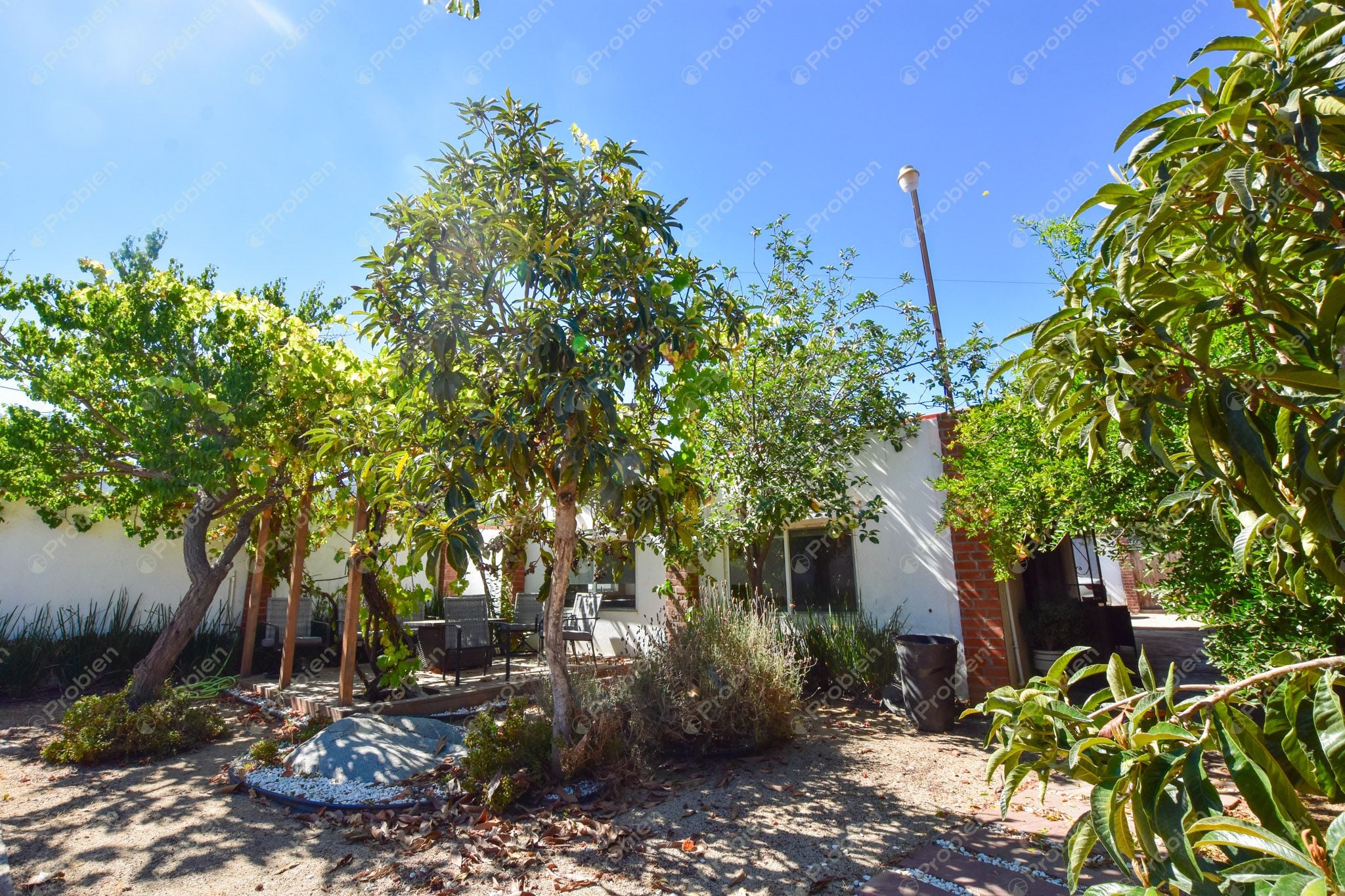 Casa en Renta en Valle de Guadalupe – 2 Recámaras, Amueblada y con Patio - Foto 7 de 23
