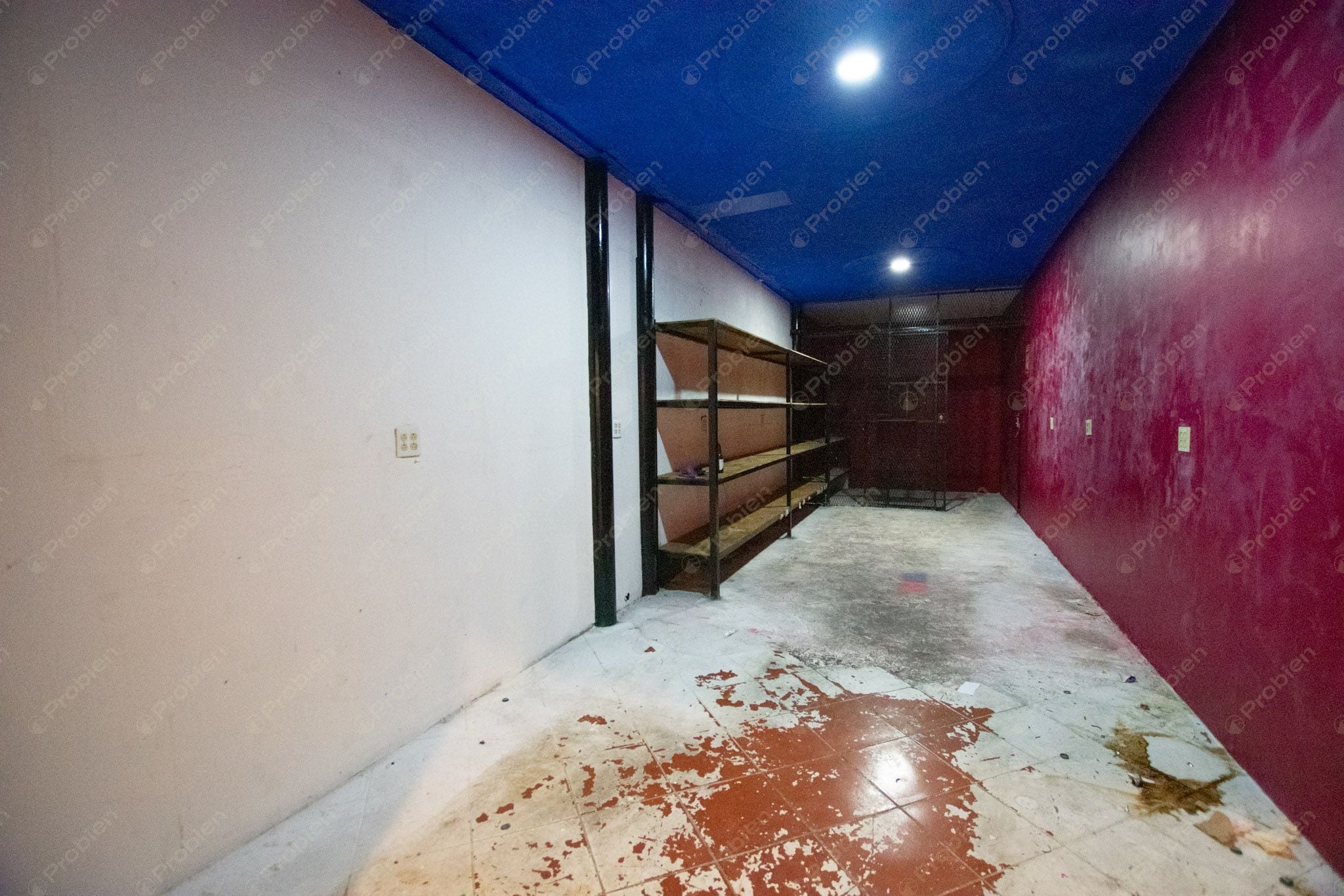 Local Comercial en Renta en El Foro – Zona Centro Tijuana, 980 m² en el Icónico Palacio Jai Alai - Foto 26 de 30