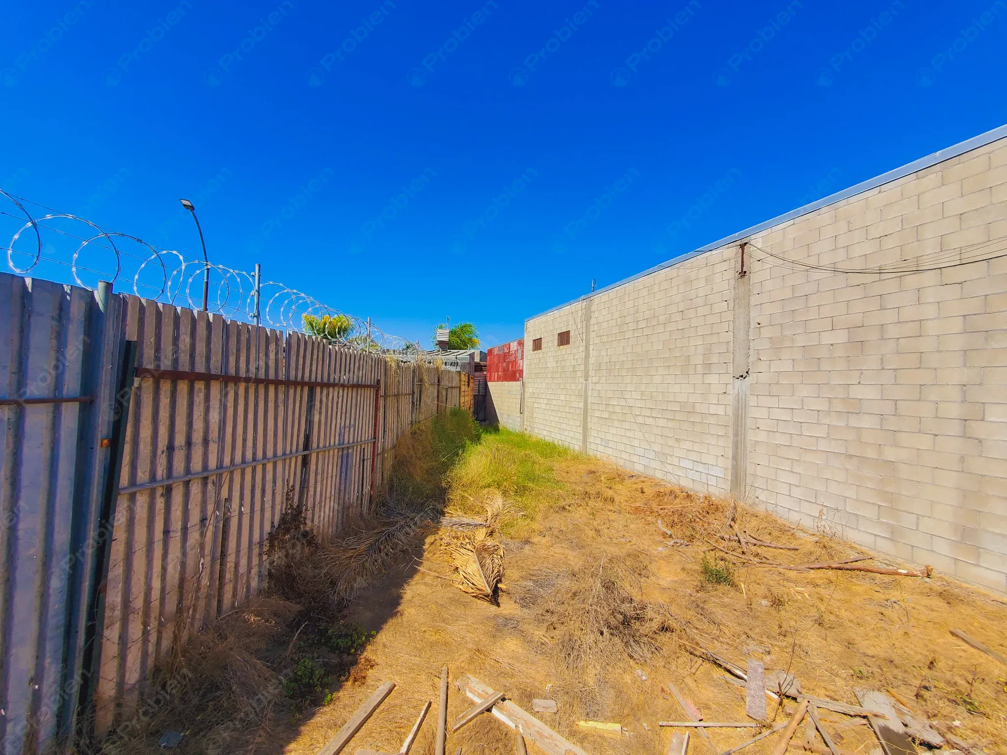 Terreno Comercial con local en renta - Alba roja - Foto 3 de 16