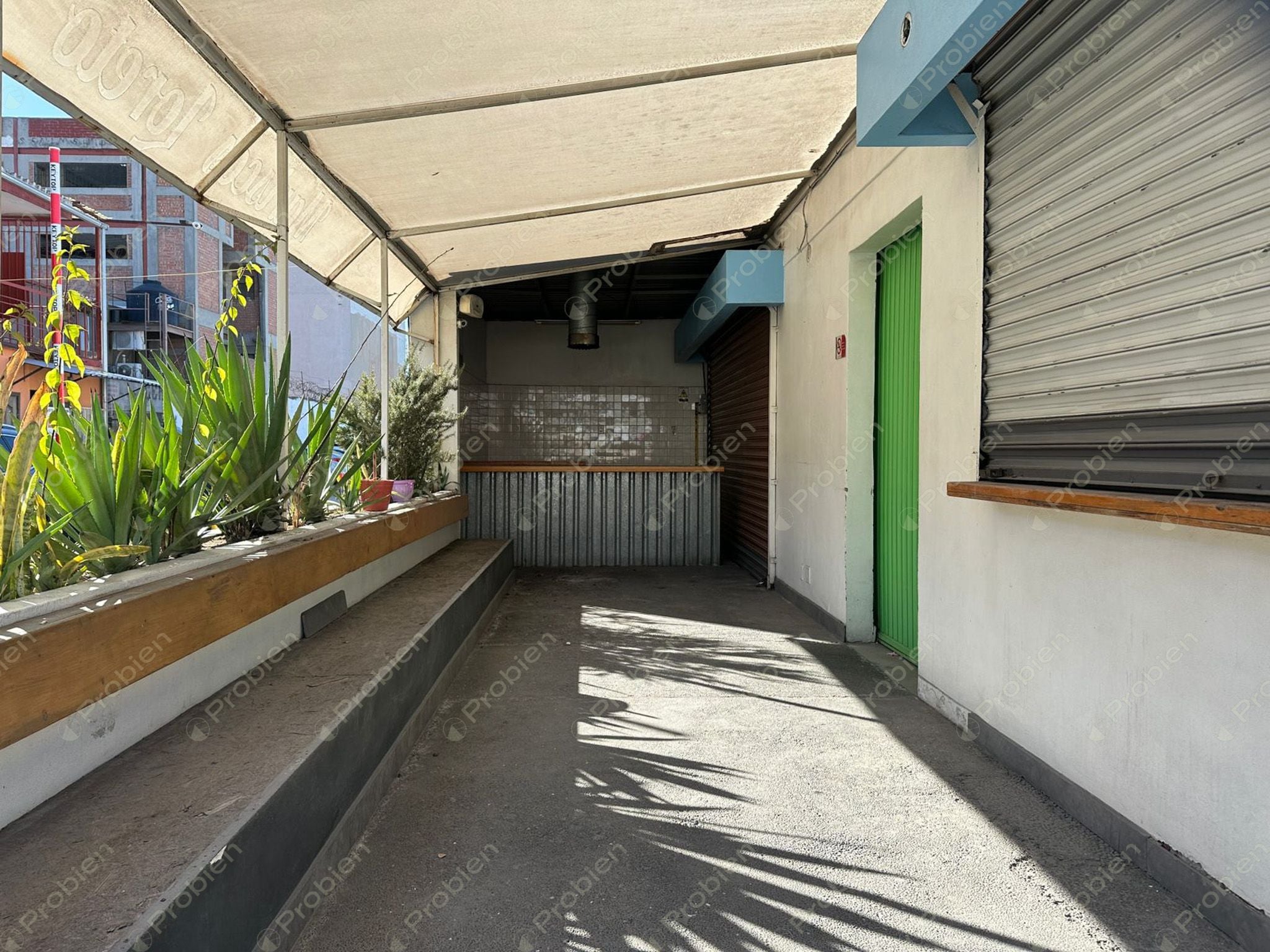 Local Comercial en Renta en Zona Centro – Ideal para Negocios y Alta Afluencia - Foto 10 de 13