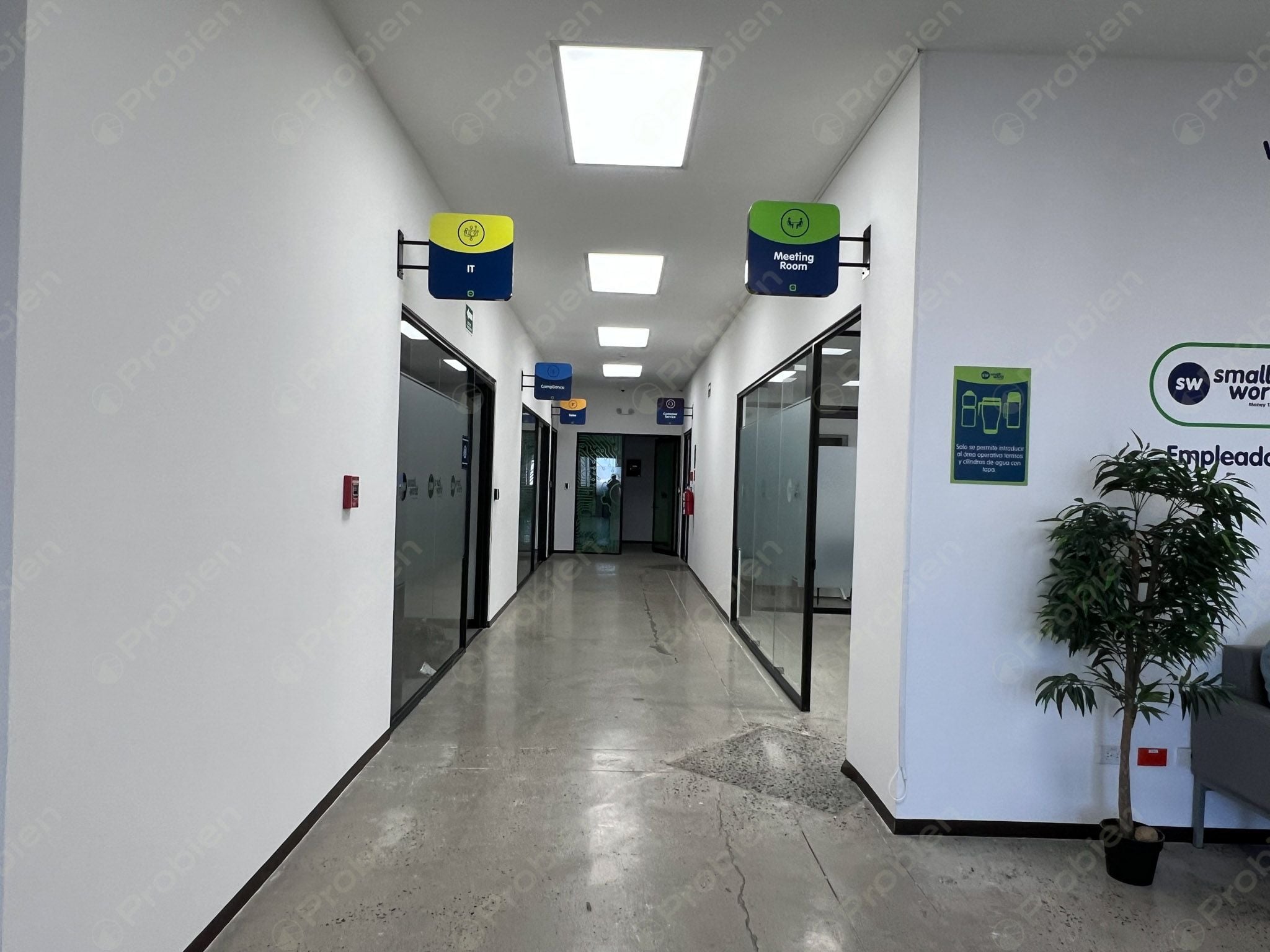 Oficina en Renta Coworking 121.92 m² - En Plaza Alameda Otay - Foto 8 de 12