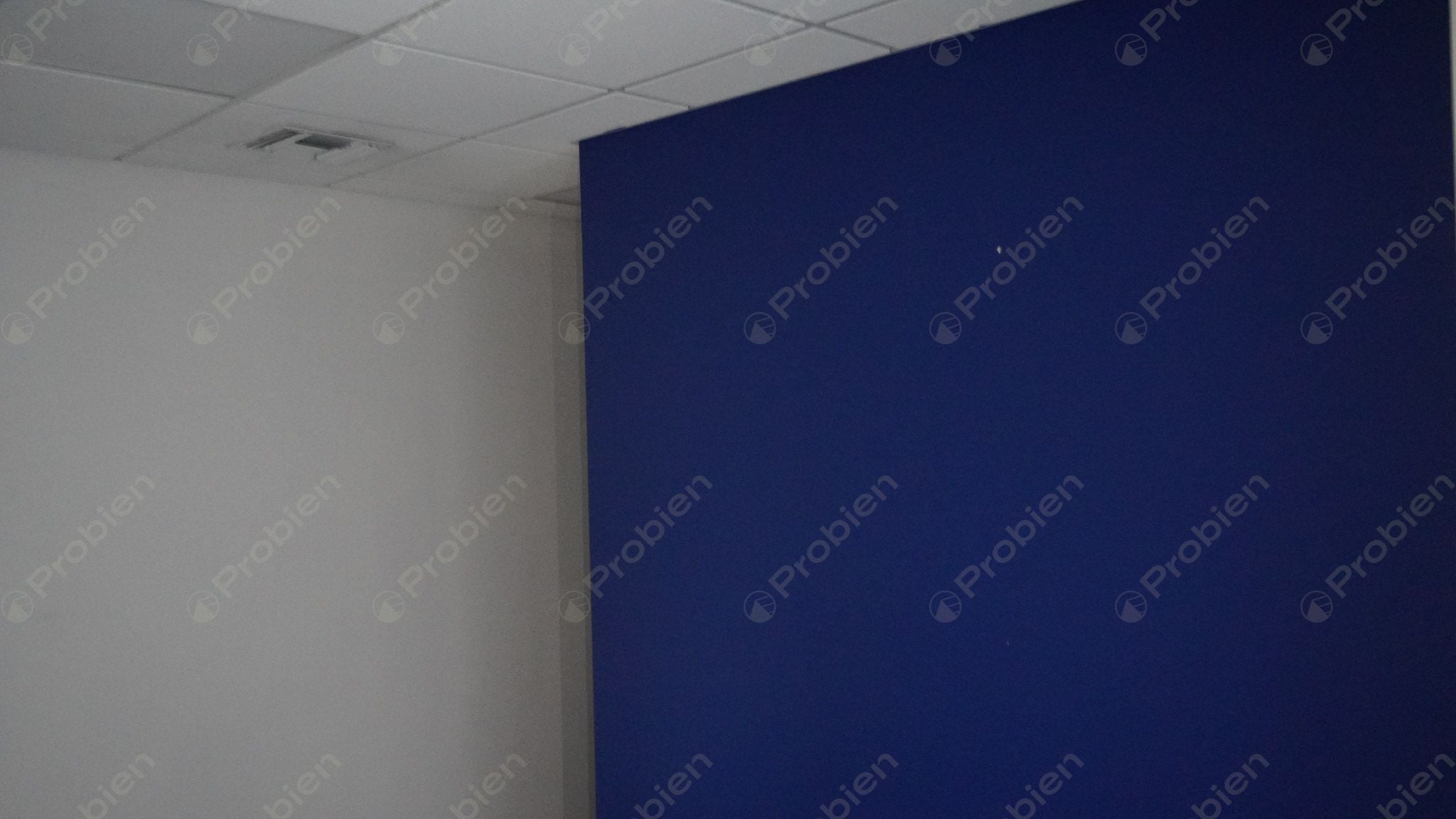 Local Comercial en Renta - En Zona Rio - Foto 12 de 23