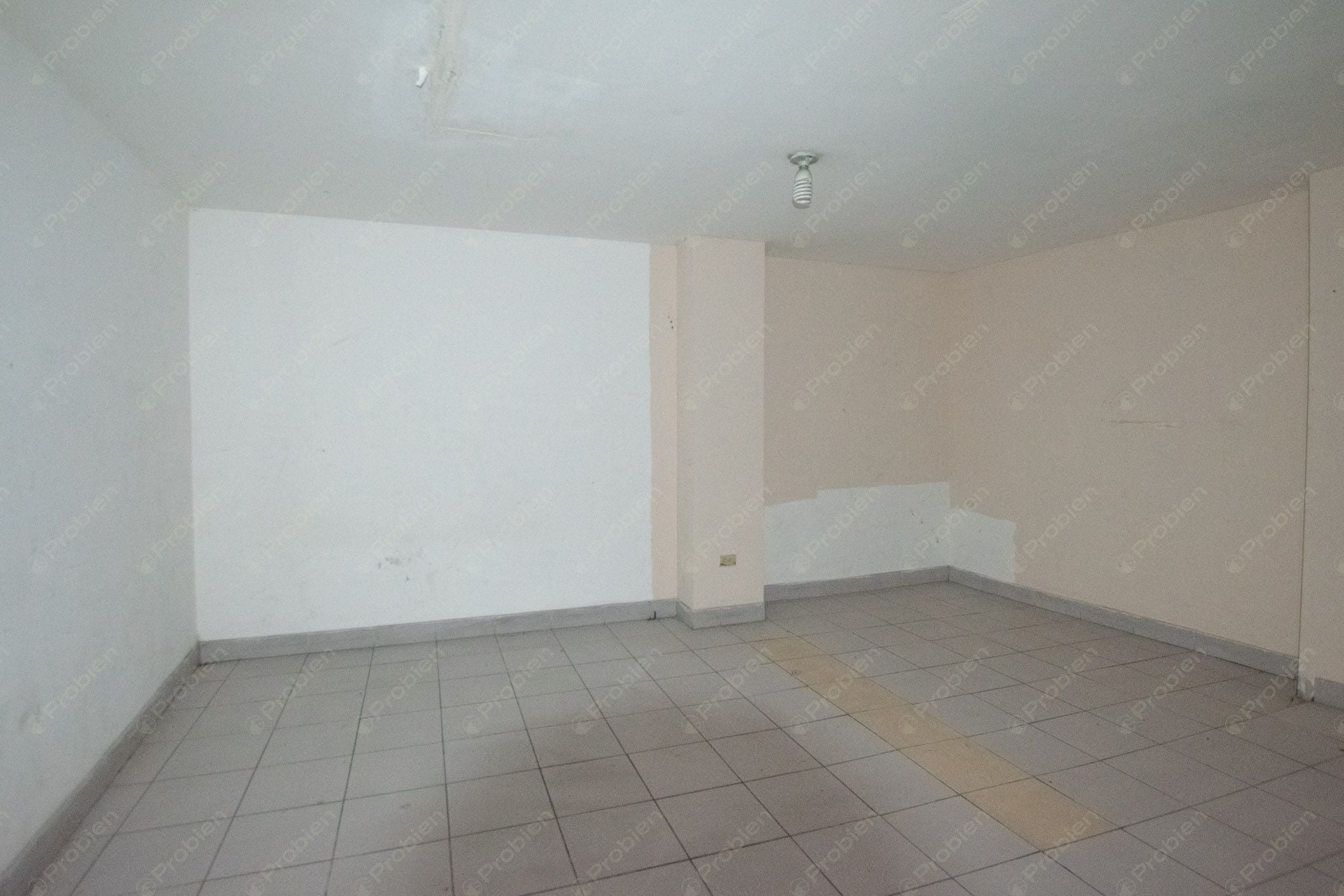 Local Comercial en Renta en Zona Centro - 214 m² - Foto 7 de 19