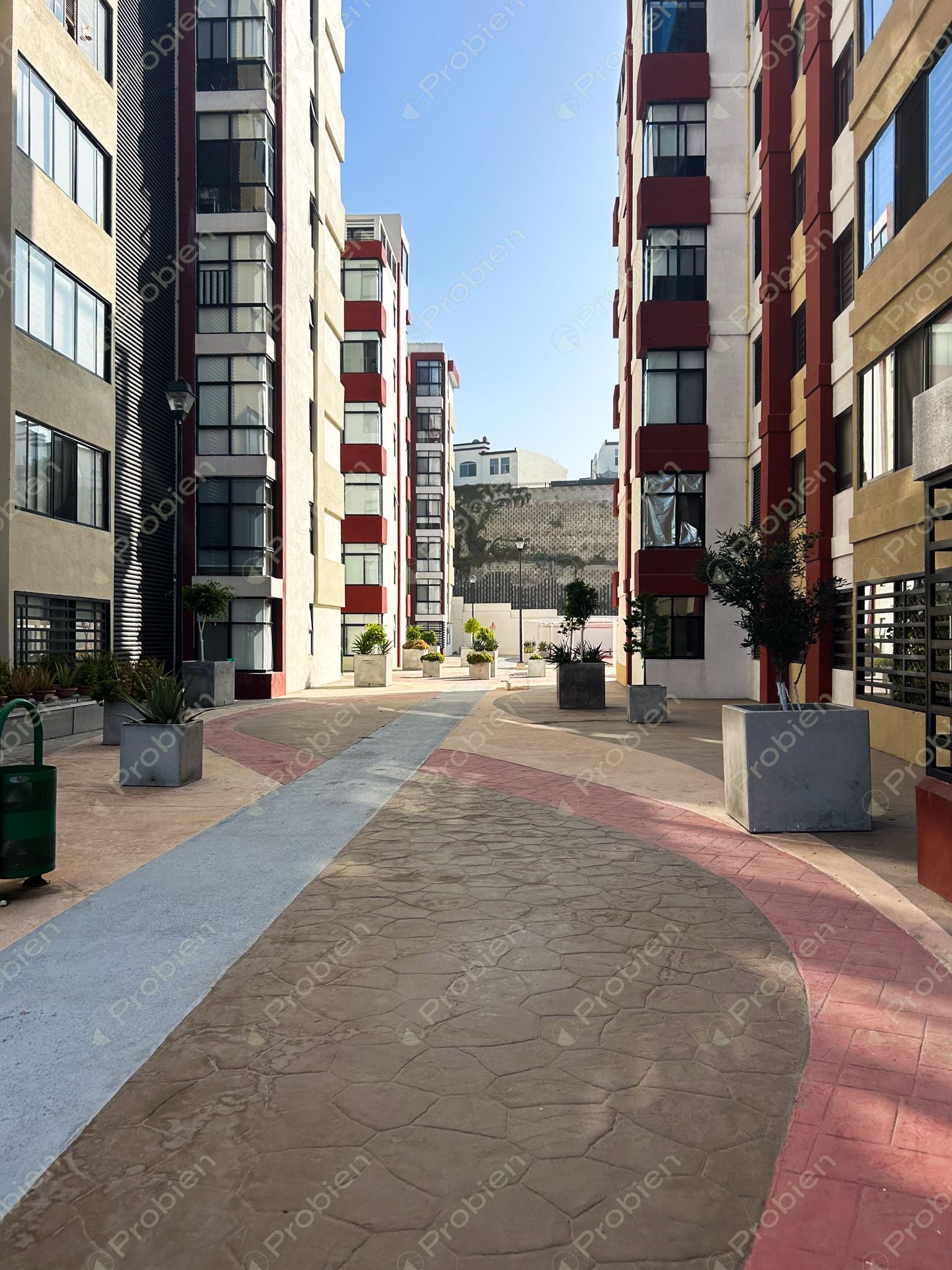 Departamento en Renta - Residencial Colinas de Chapultepec - Foto 6 de 11