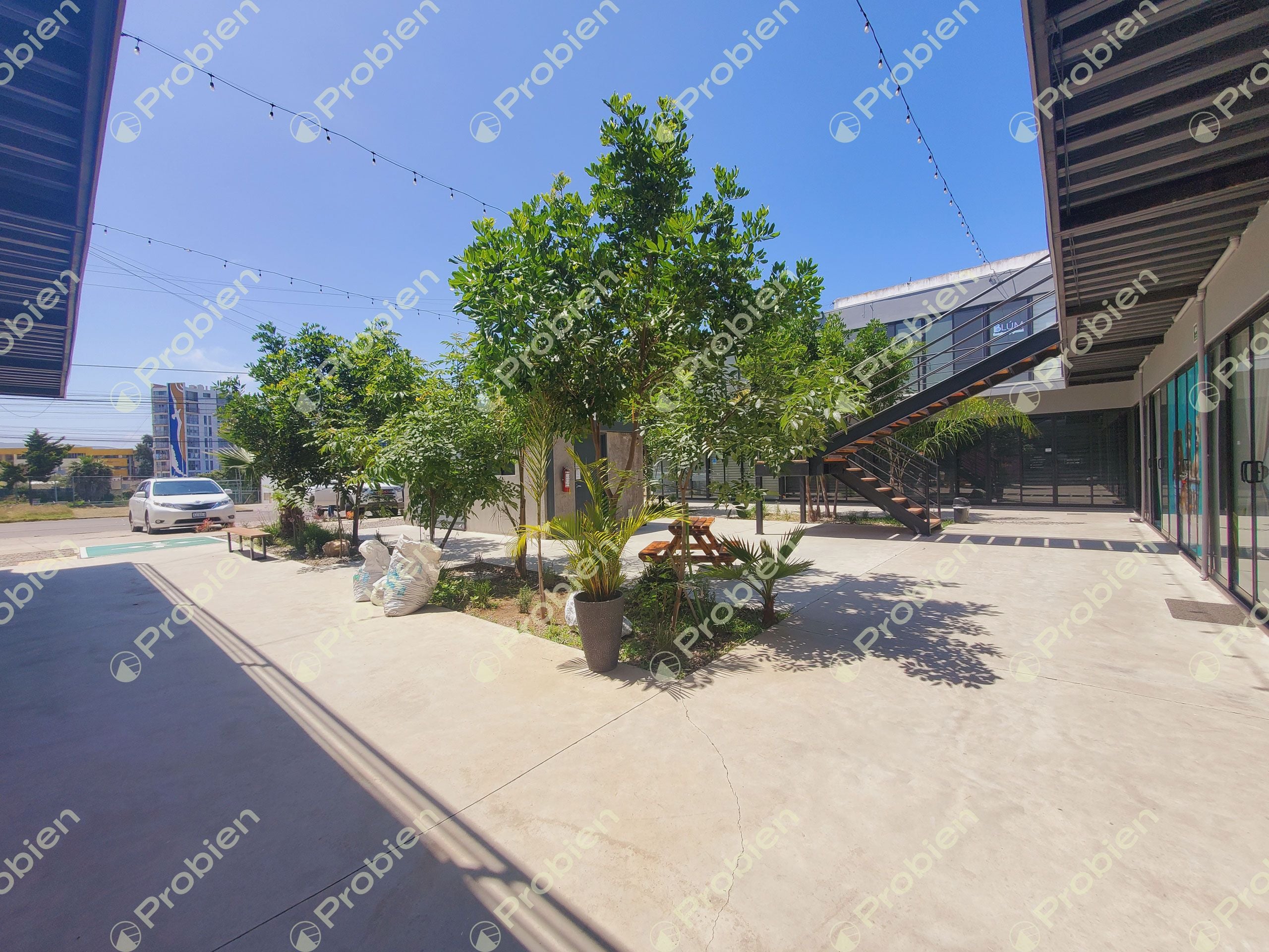 LOCALES EN RENTA - PLAZA PALMEYRAS PLAYAS DE TIJUANA - Foto 2 de 6