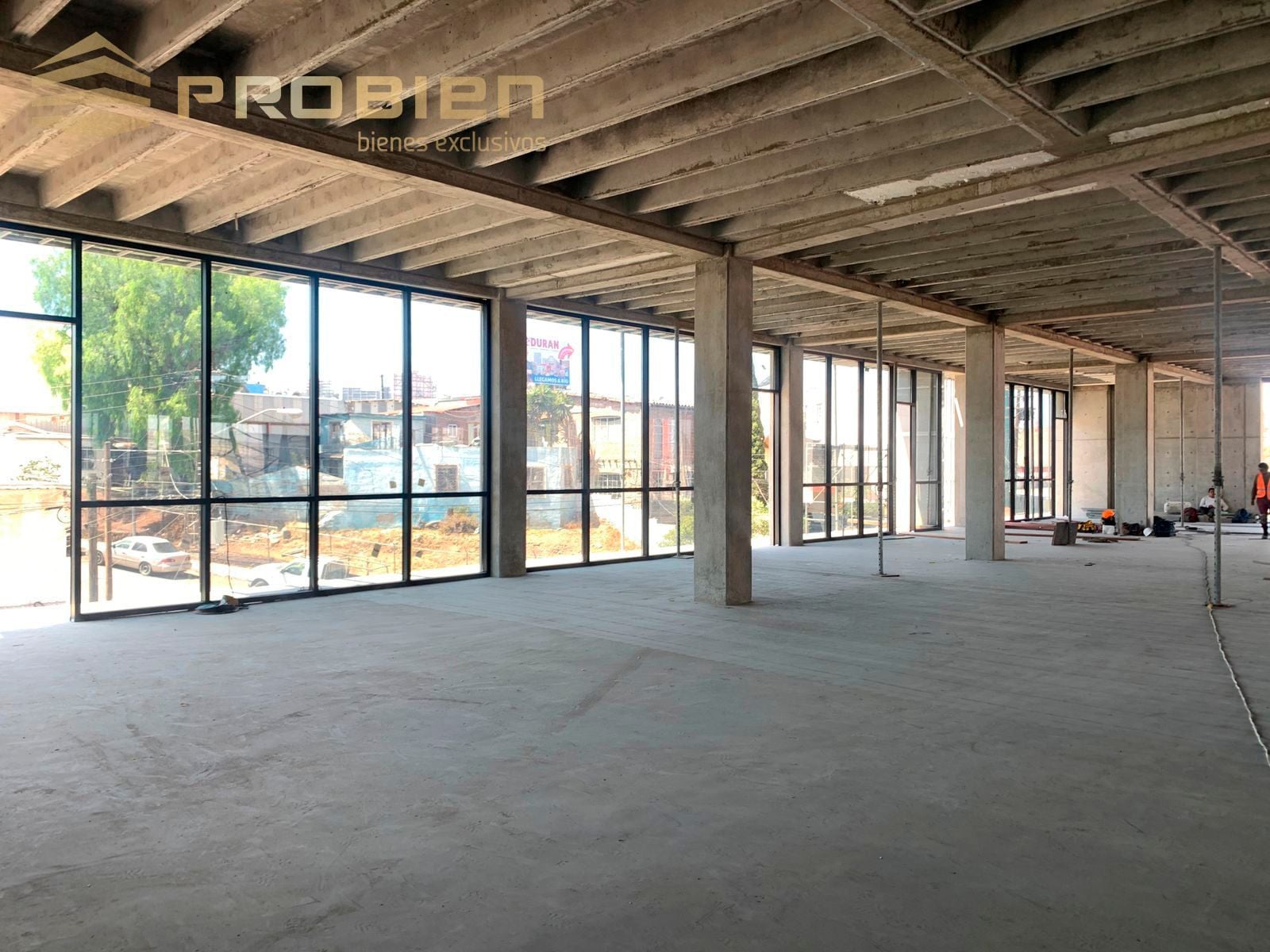 Edificio en Renta Mind - Colonia Revolución - Foto 5 de 6