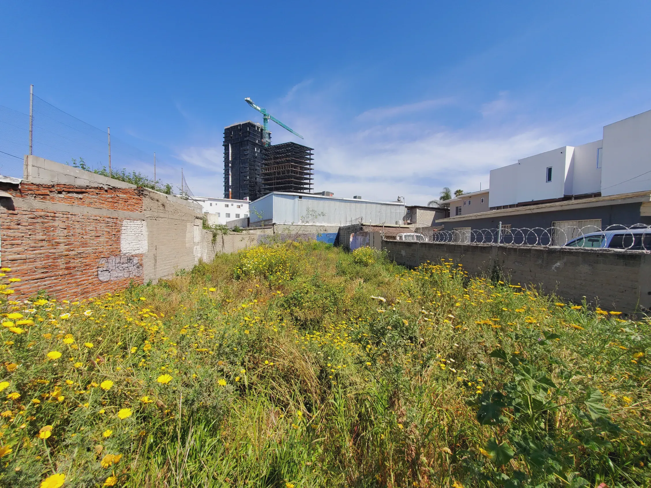 Terreno en Renta - En Zona Centro Av. Sirak Baloyan - Foto 3 de 3