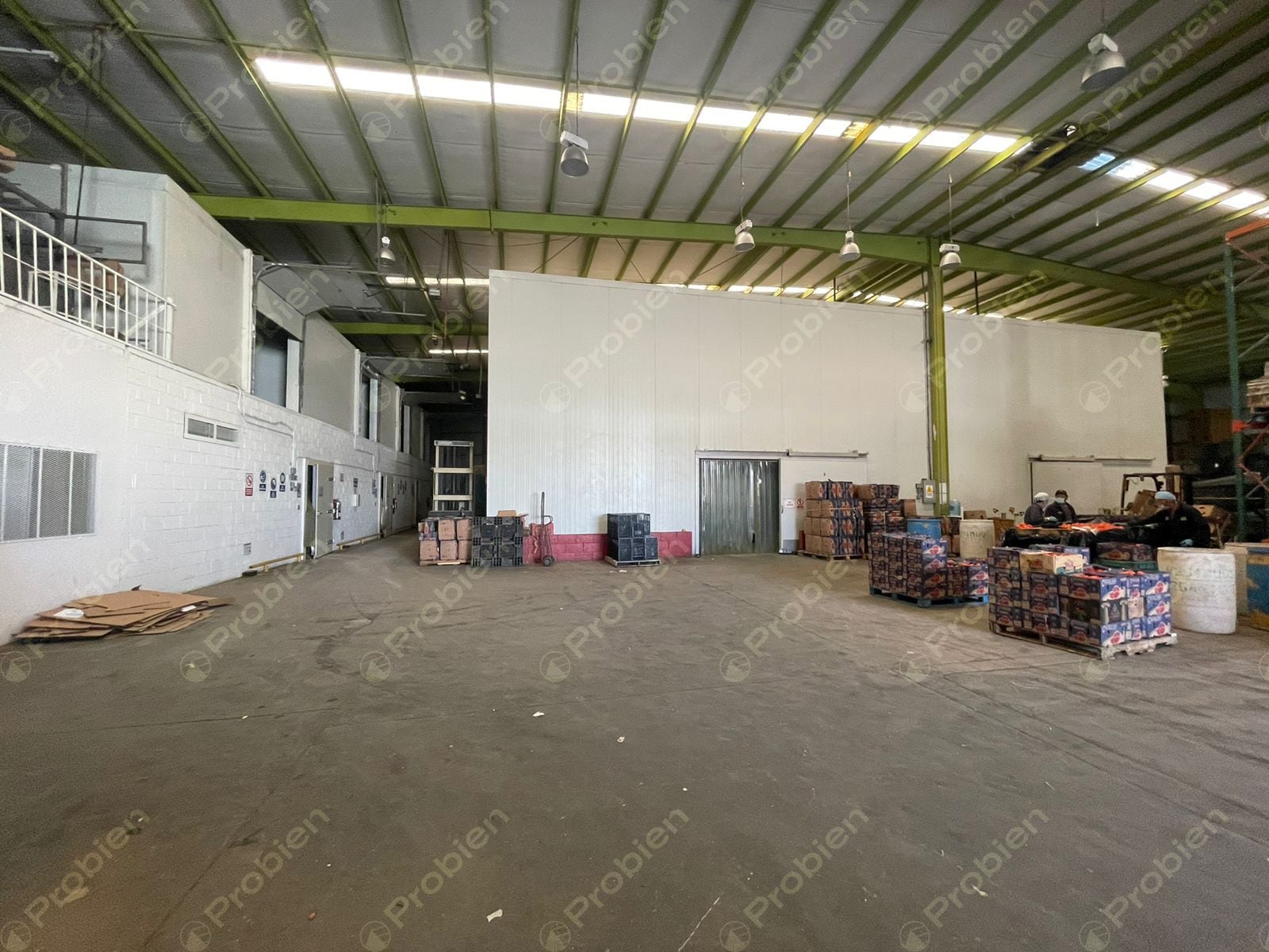 Bodega en Renta en Via Rápida Zona Rio 3ra etapa - Foto 4 de 16