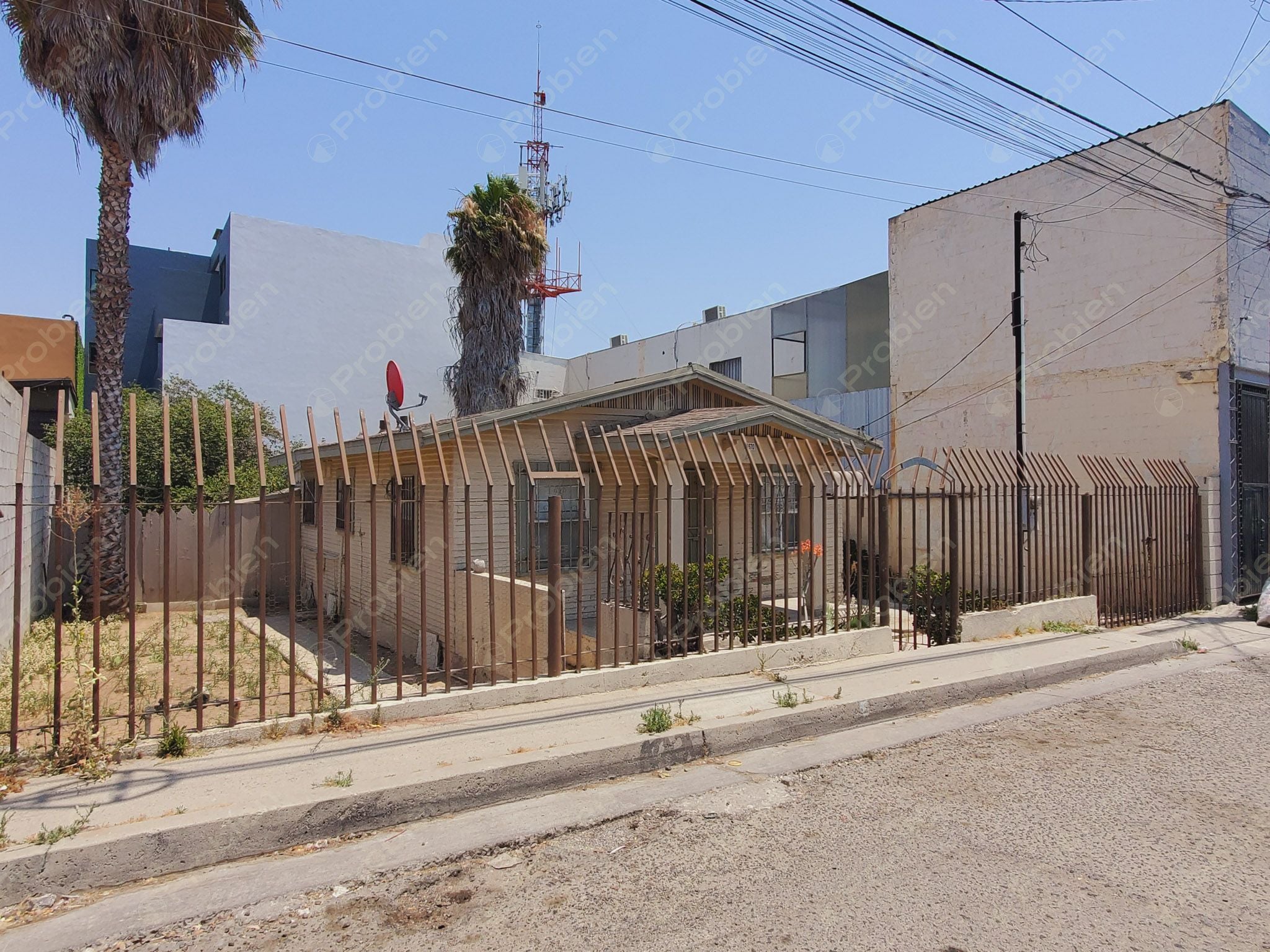 Local en Renta - En la Mesa - Foto 4 de 11