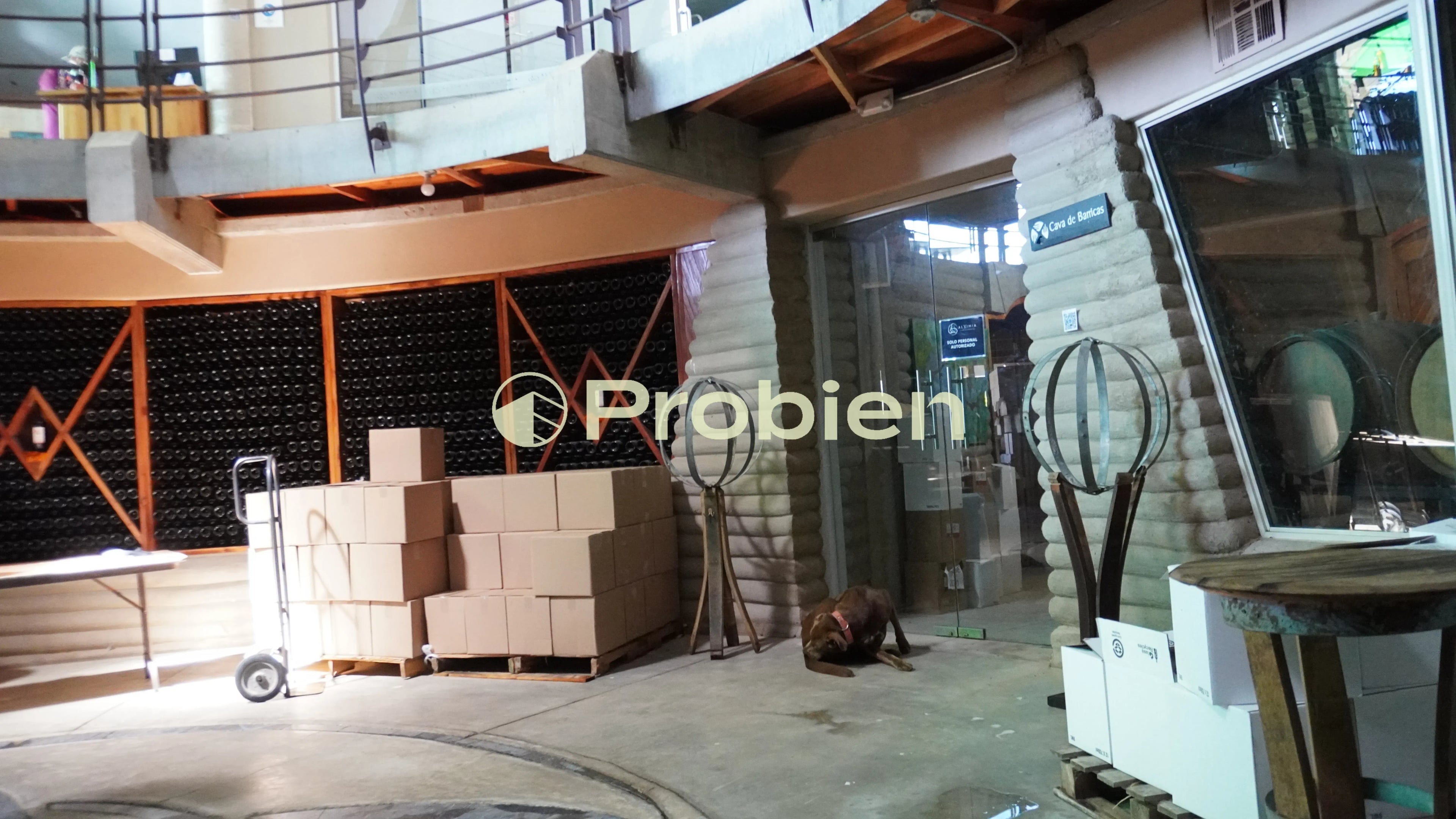 Vinicola en Venta - Valle de Guadalupe - Foto 3 de 17