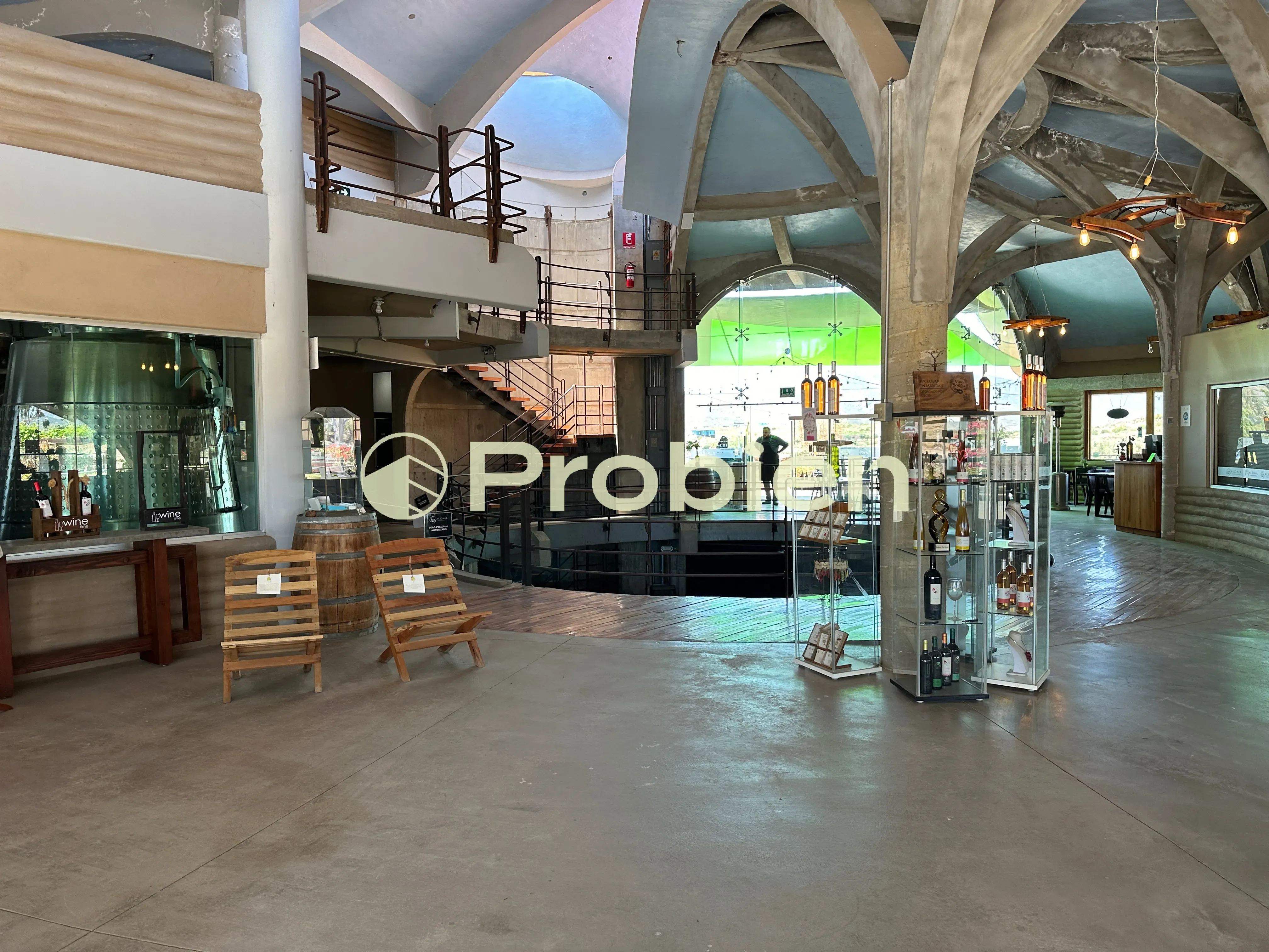 Vinicola en Venta - Valle de Guadalupe - Foto 10 de 17