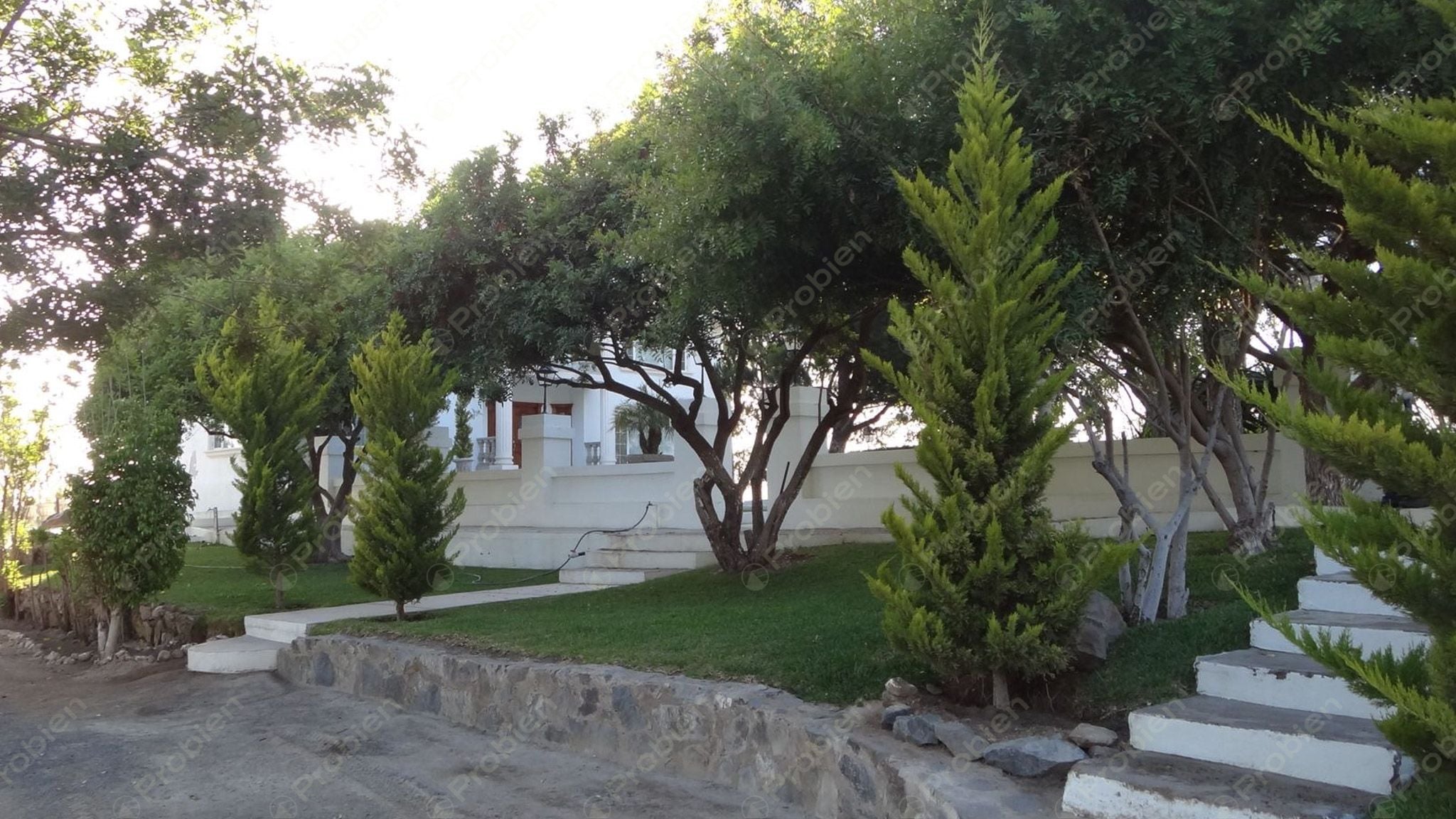 Rancho El Ronco en Venta – 3 Hectáreas a 30 Min de Ensenada, Ideal para Viñedo - Foto 11 de 16