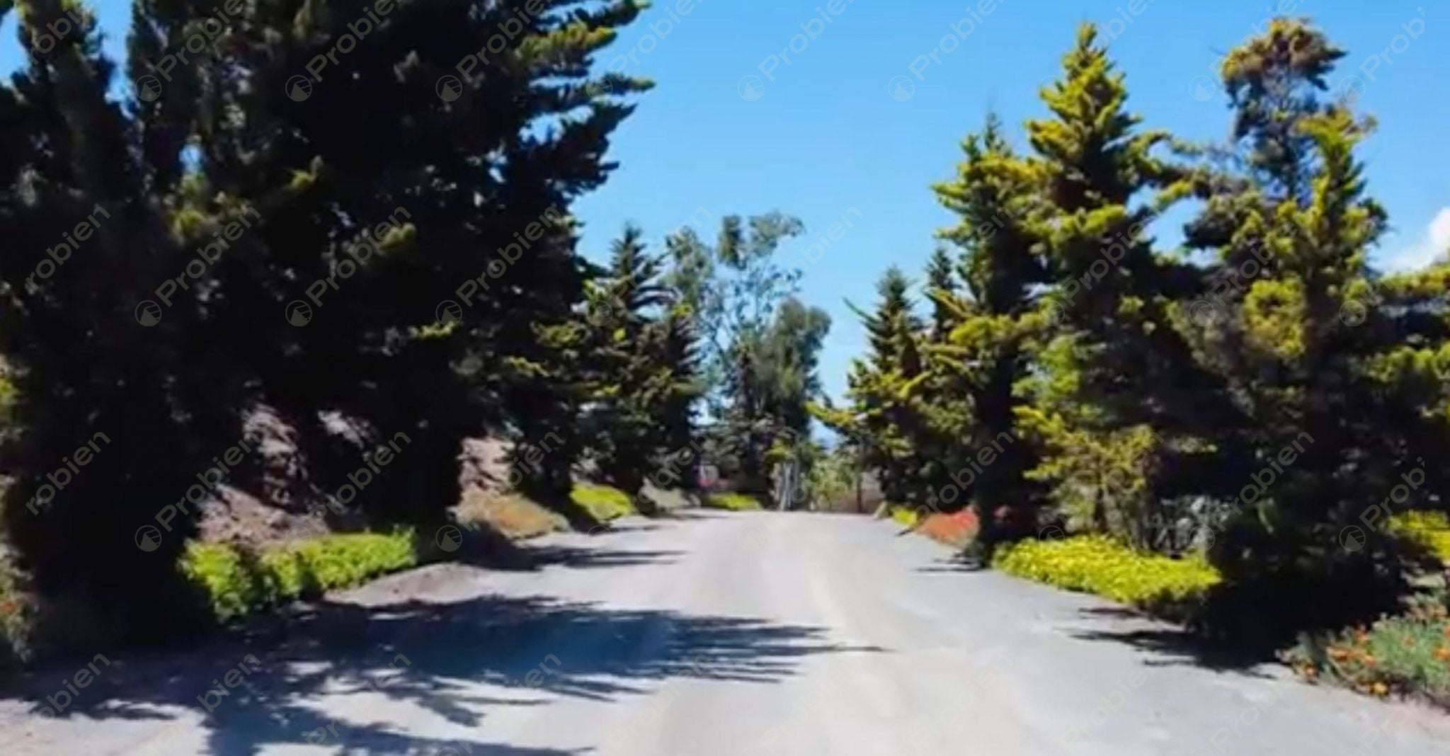 Rancho El Ronco en Venta – 3 Hectáreas a 30 Min de Ensenada, Ideal para Viñedo - Foto 12 de 16