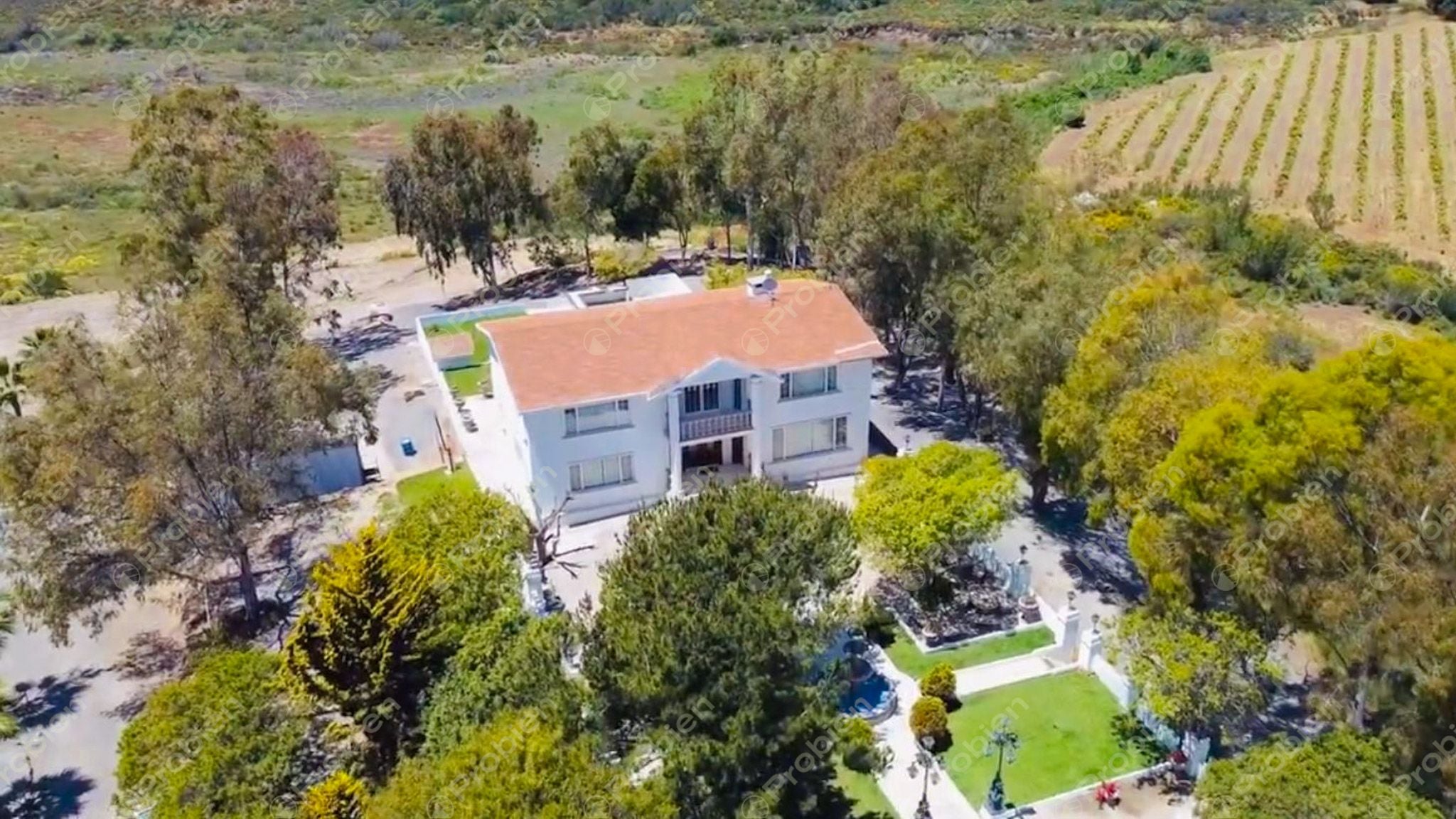 Rancho El Ronco en Venta – 3 Hectáreas a 30 Min de Ensenada, Ideal para Viñedo - Foto 3 de 16