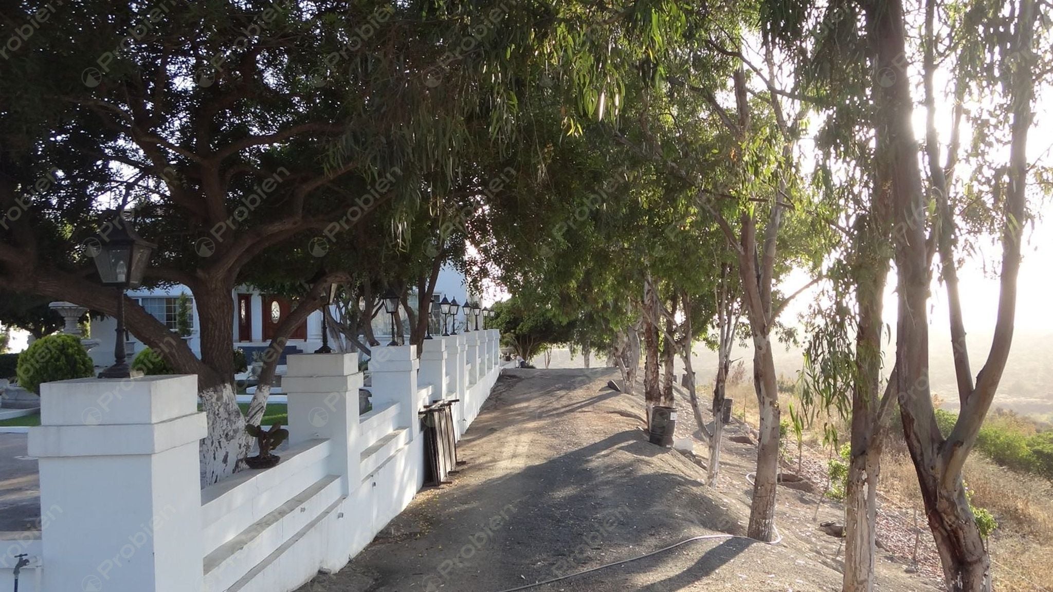 Rancho El Ronco en Venta – 3 Hectáreas a 30 Min de Ensenada, Ideal para Viñedo - Foto 9 de 16