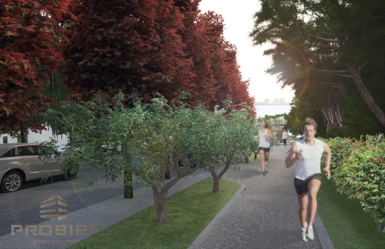 Departamentos en Venta - Entrenubes - Foto 8 de 8