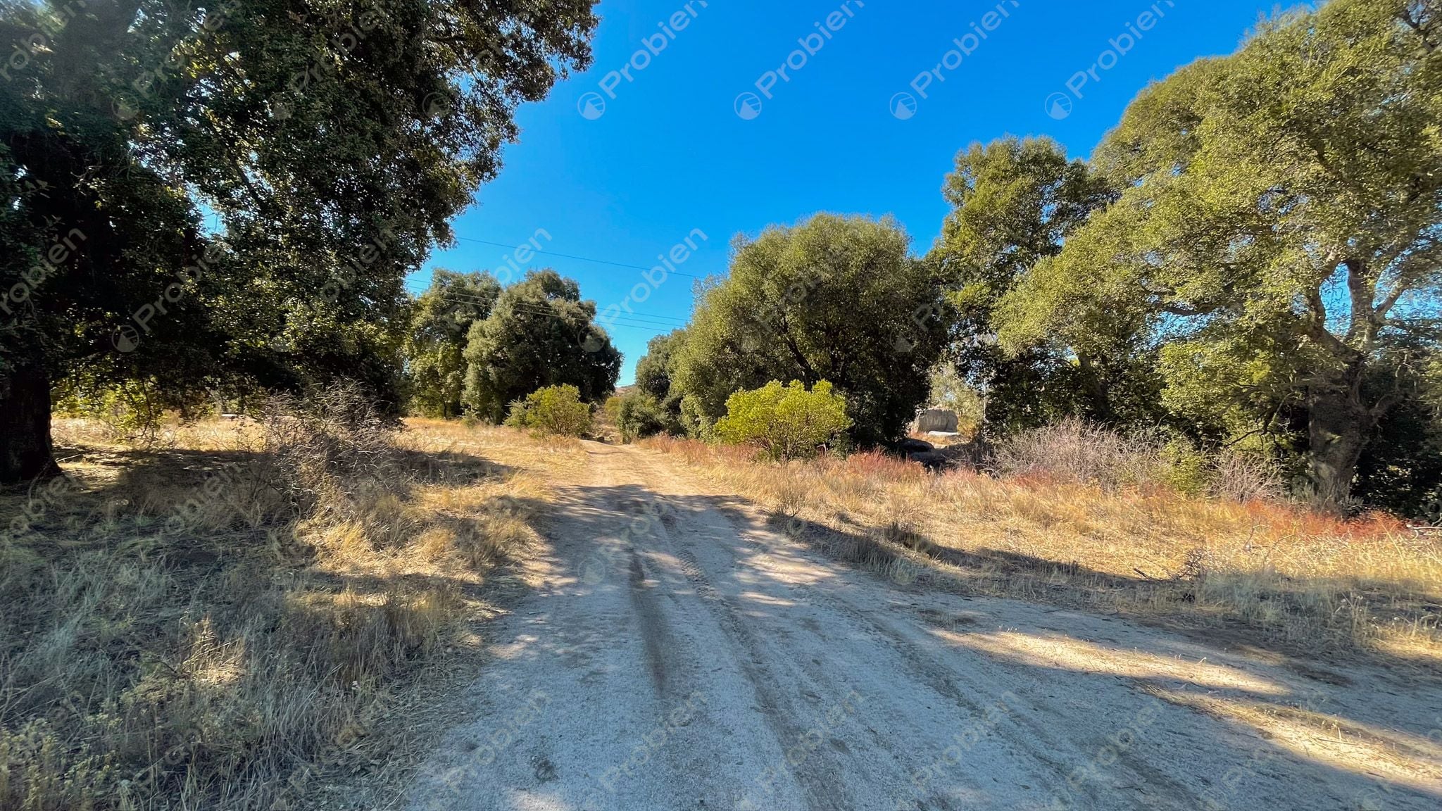 Terreno en Venta en Rancho Santa Verónica – 3,357 m² de Naturaleza y Tranquilidad - Foto 3 de 10