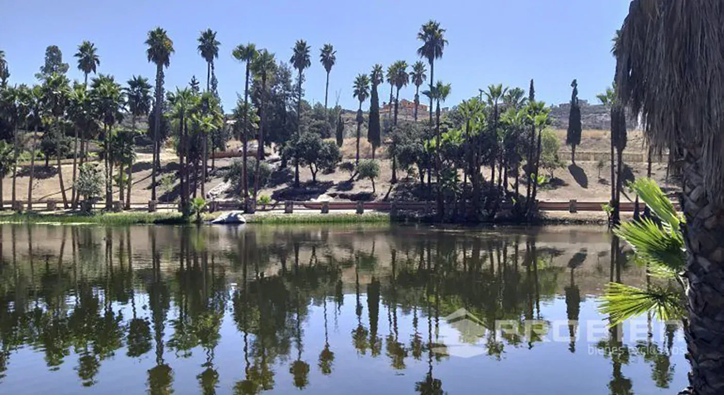 Terreno Residencial  Venta - Rancho Tecate - Foto 7 de 14