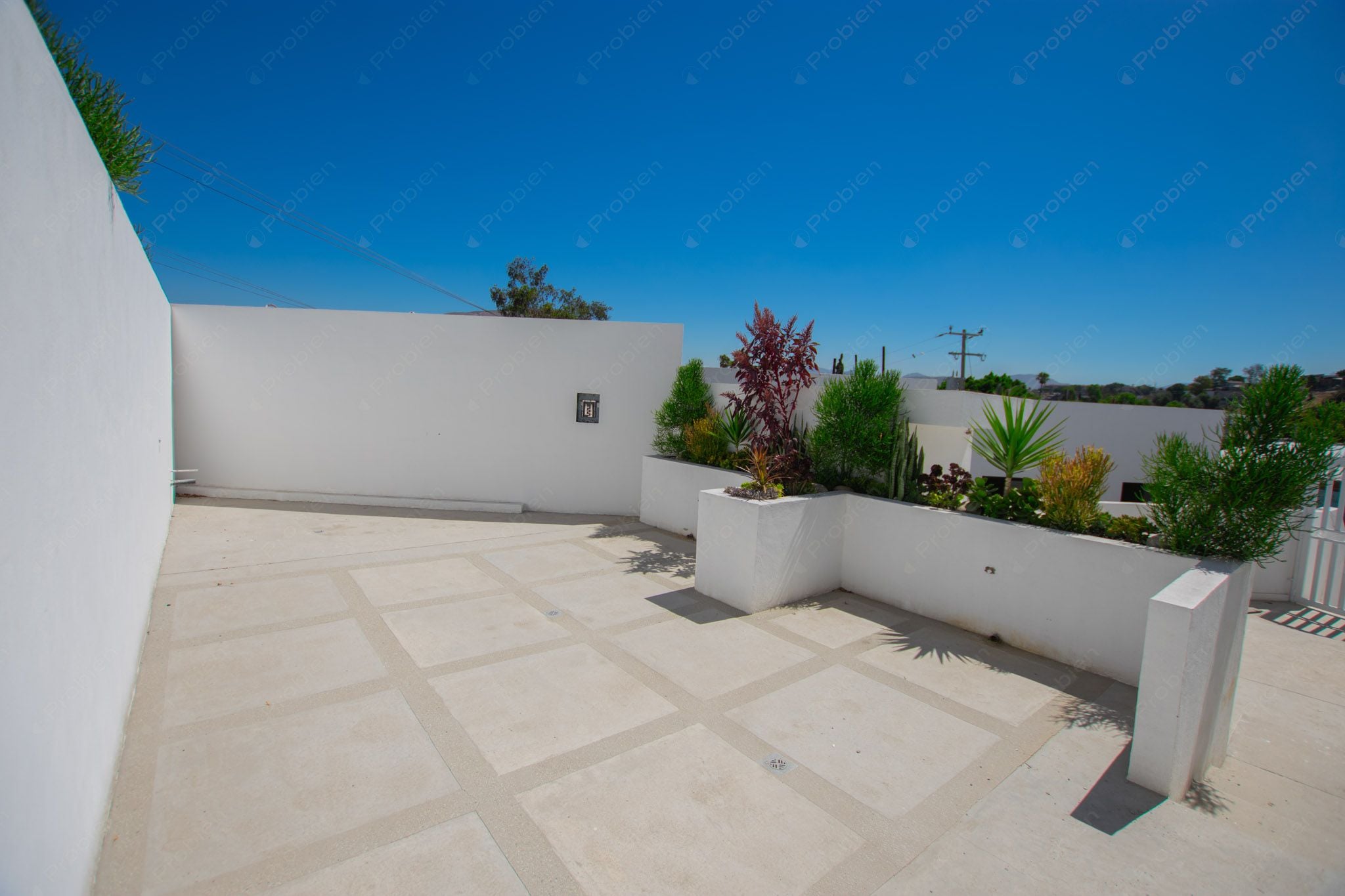 Casas en Venta en Pino Real – 3 Recámaras, 2 Niveles y Excelente Ubicación - Foto 5 de 19