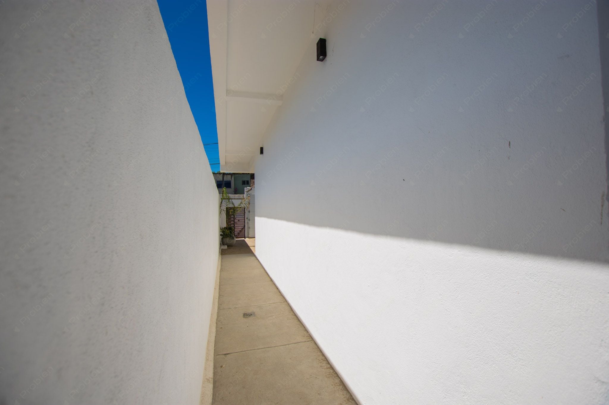 Casas en Venta en Pino Real – 3 Recámaras, 2 Niveles y Excelente Ubicación - Foto 7 de 19