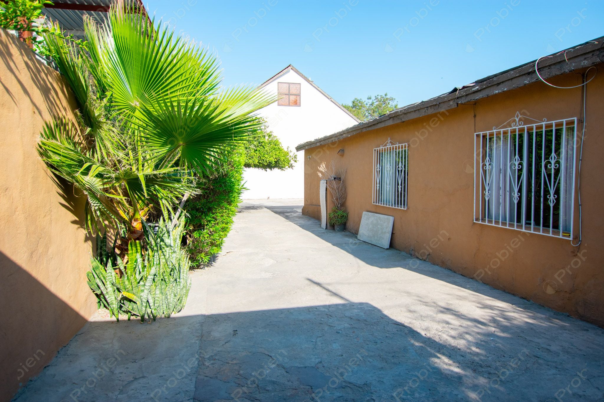 Terreno con Construcción en Venta en Col. Los Pinos de Narez – 392 m² con Gran Potencial - Foto 4 de 16