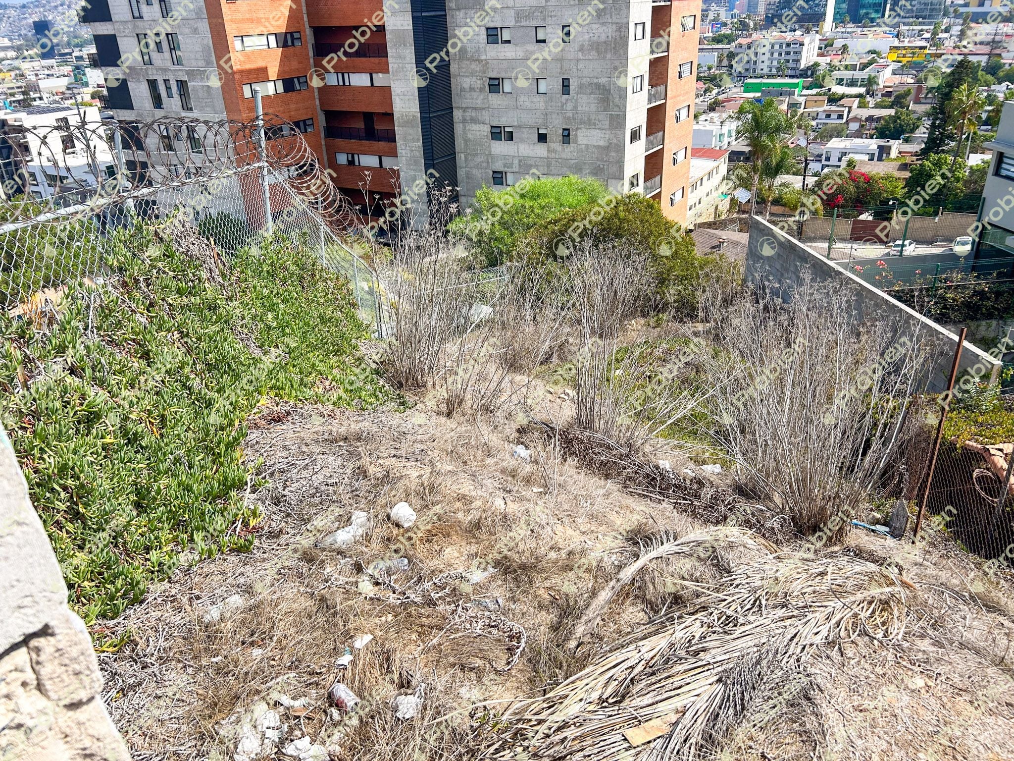 Terreno en Venta en Colonia Cacho – 245 m² Ideal para Residencia o Torre de Departamentos - Foto 3 de 4