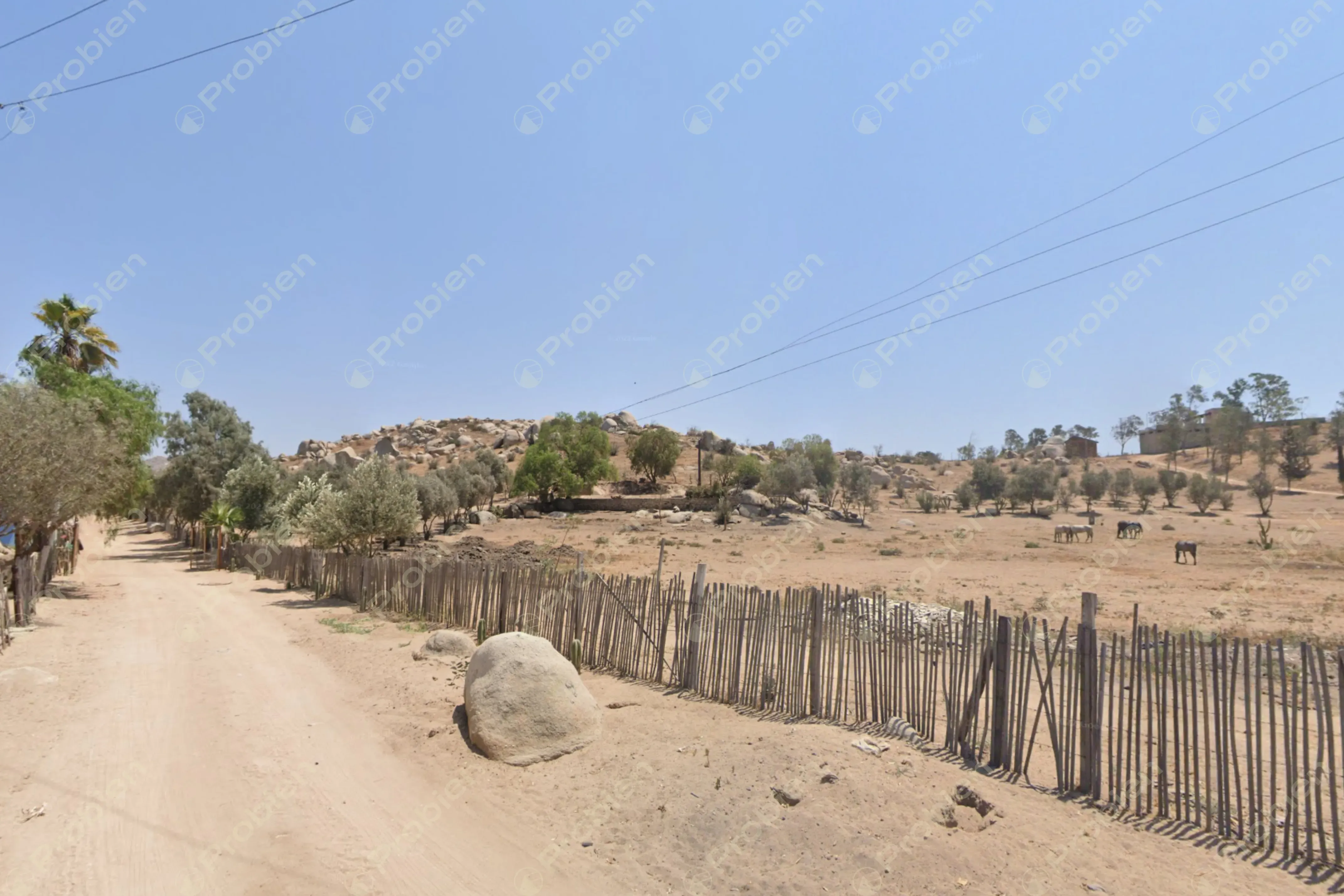 Terreno en Venta - Valle Redondo 8.3 Hectáreas - Foto 6 de 6