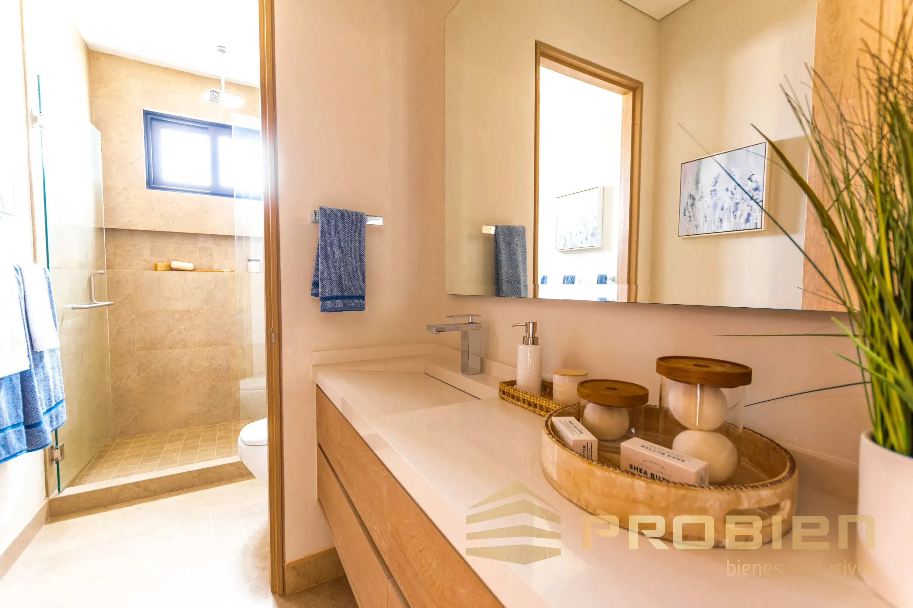 Departamentos en Venta Índigo Resort Living - Playas de Tijuana - Foto 20 de 25