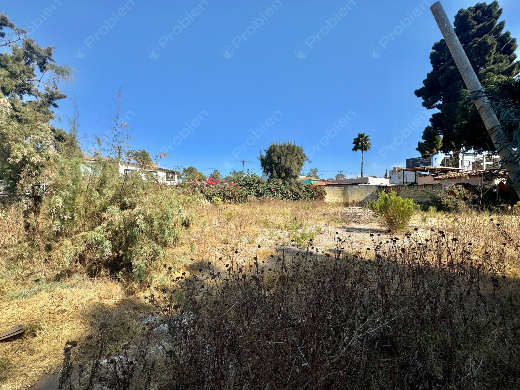 Terreno en Venta -  Bungalos de Agua Caliente - Foto 4 de 5