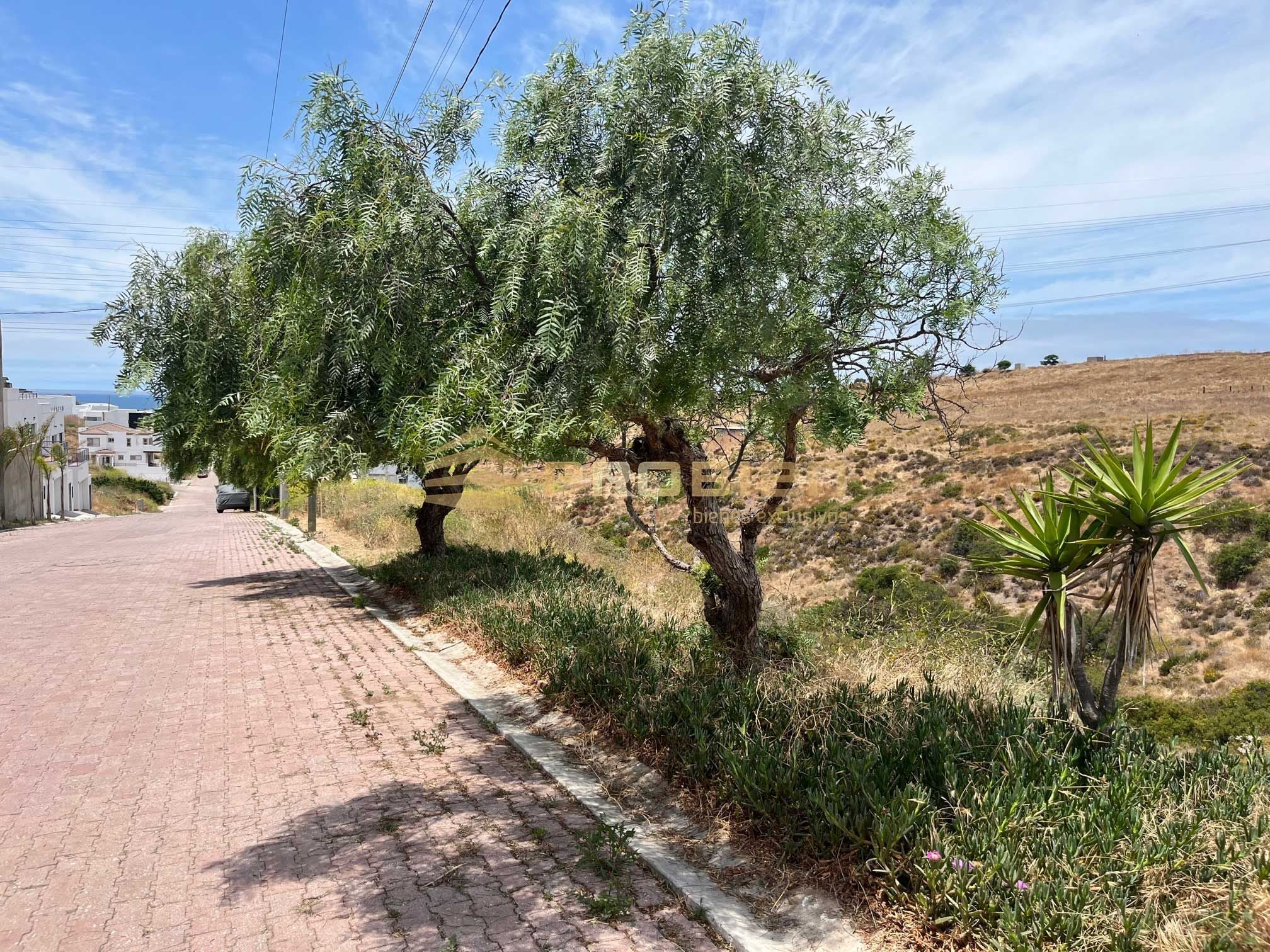 Terreno en Venta en Baja Malibu Lomas - Foto 4 de 4