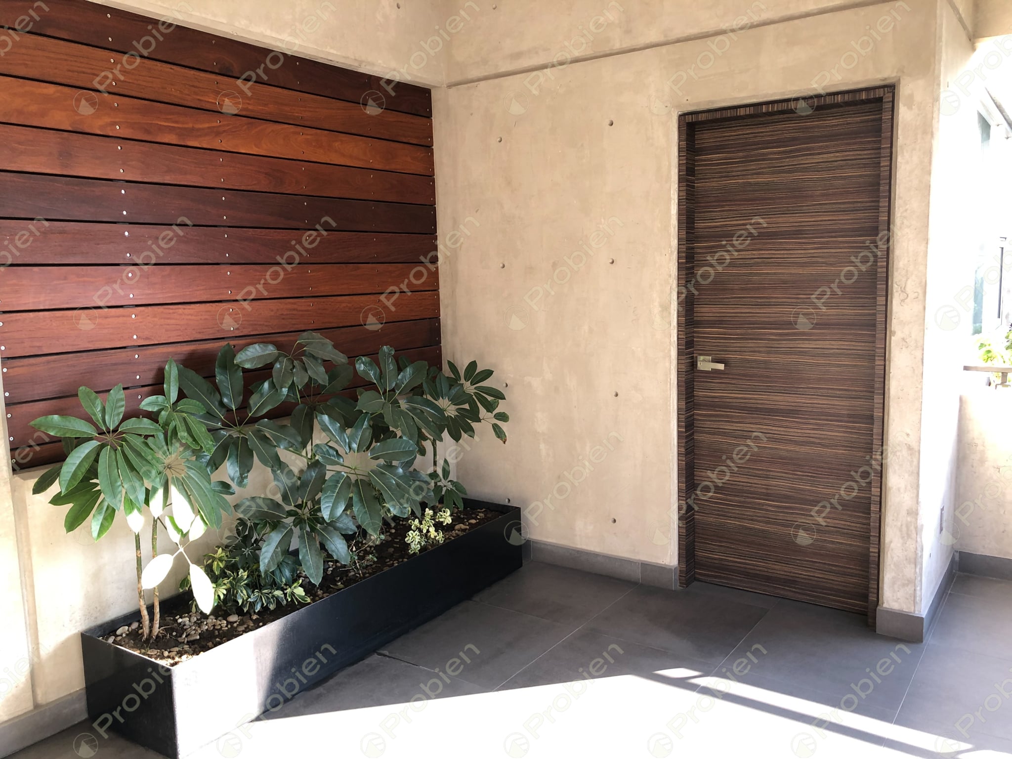 Departamento en Renta en Residencial Mérida – Seguridad, Luz Natural y Excelente Ubicación - Foto 4 de 15