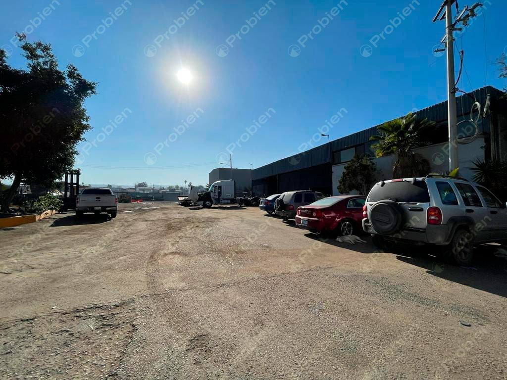 TERRENO EN RENTA EN LA COLONIA 20 DE NOVIEMBRE - Foto 2 de 12