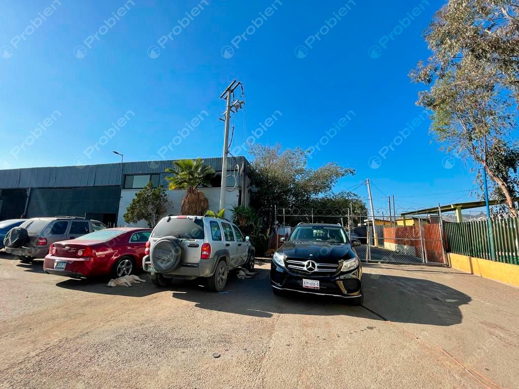 TERRENO EN RENTA EN LA COLONIA 20 DE NOVIEMBRE - Foto 9 de 12