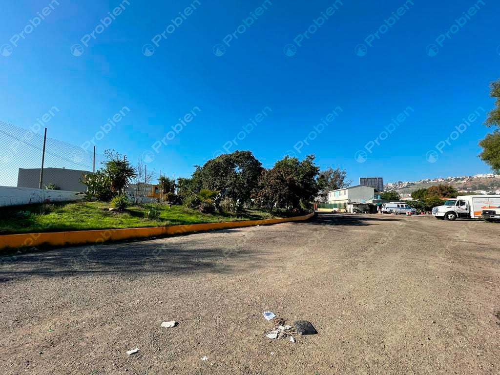 TERRENO EN RENTA EN LA COLONIA 20 DE NOVIEMBRE - Foto 12 de 12