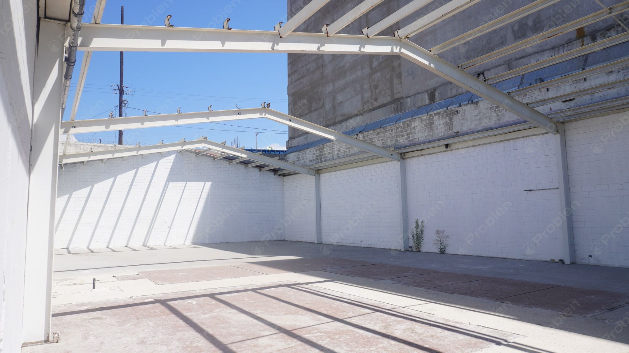 Bodega en Renta en Zona Rio Av Padre Kino - Foto 8 de 15