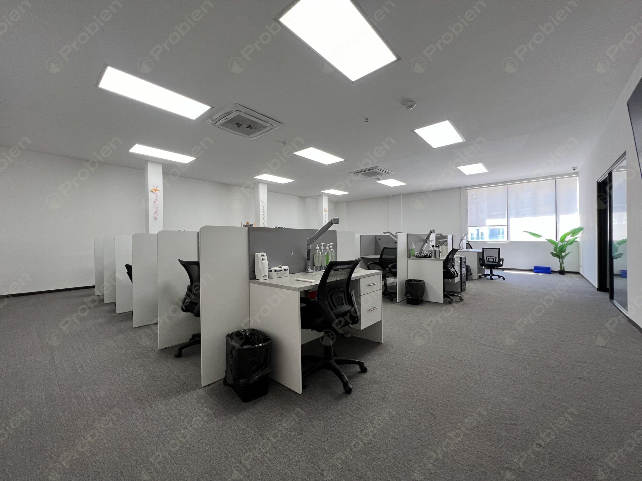 Local en Renta - En Plaza Alameda Otay - Foto 15 de 22