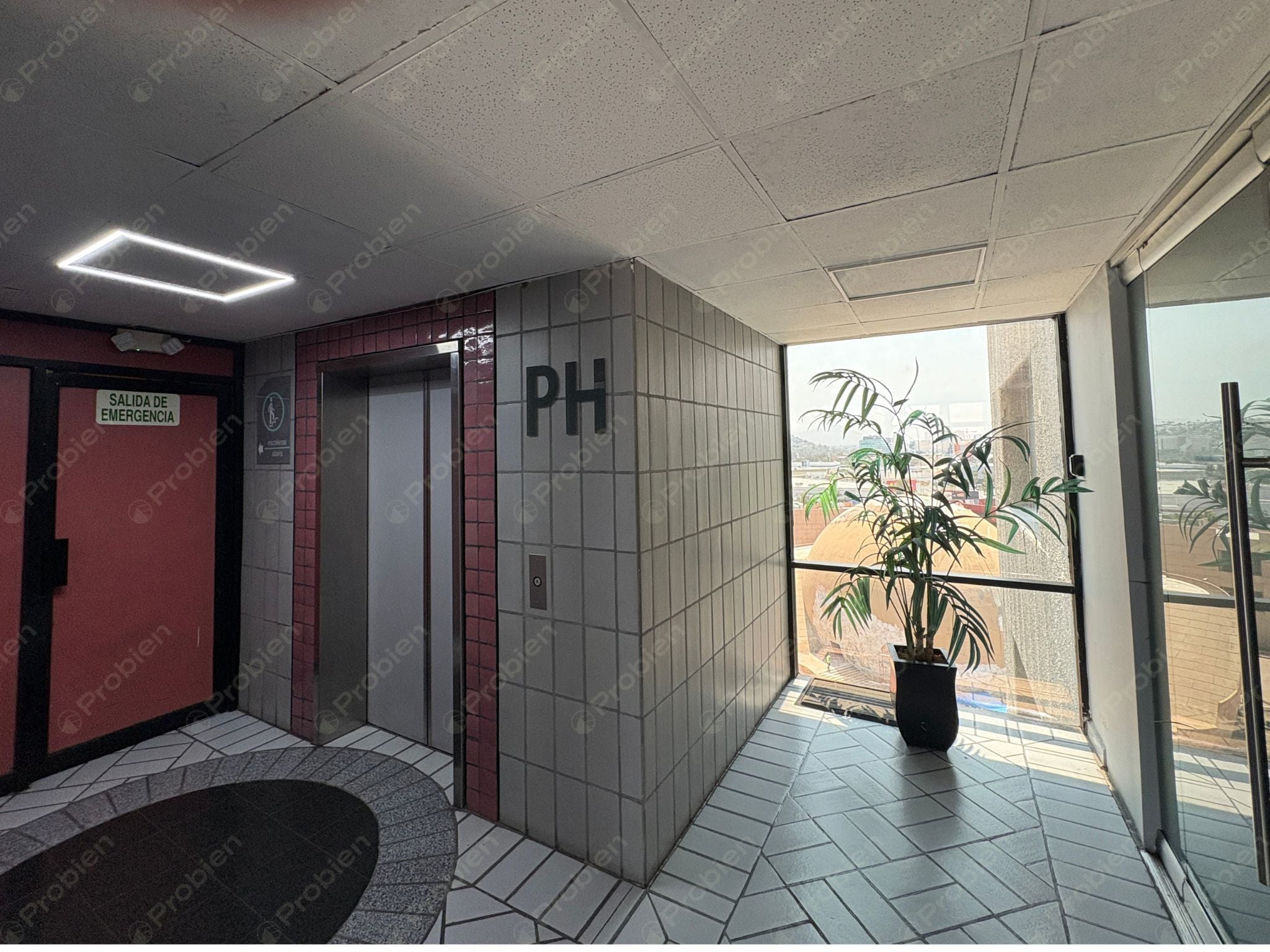 Oficina Penthouse en Renta en Zona Río – Torre MOL con Terraza y Vista Panorámica - Foto 12 de 18