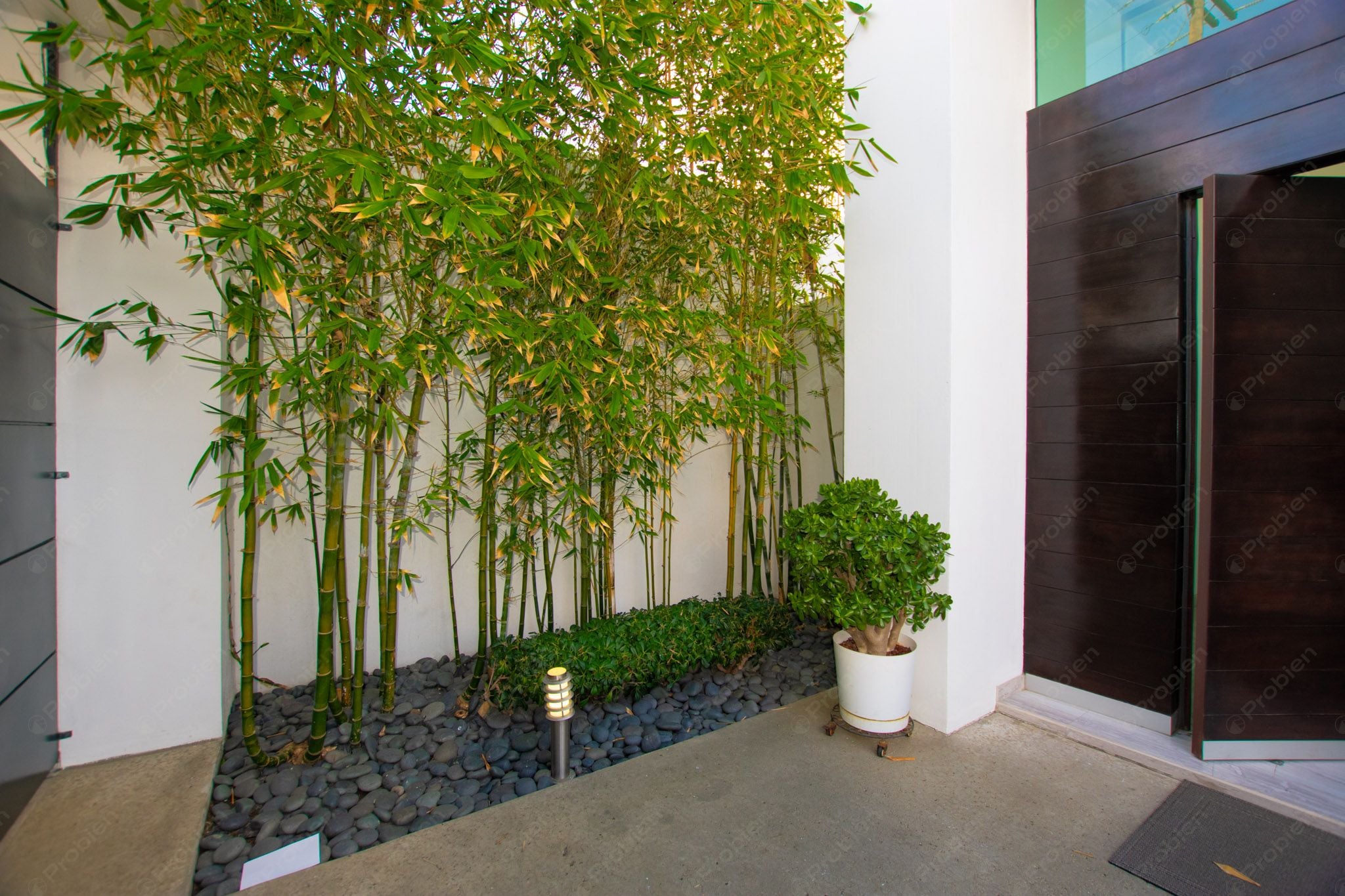 Exclusiva Casa de Lujo en Venta en Colonia Cacho - Foto 3 de 32